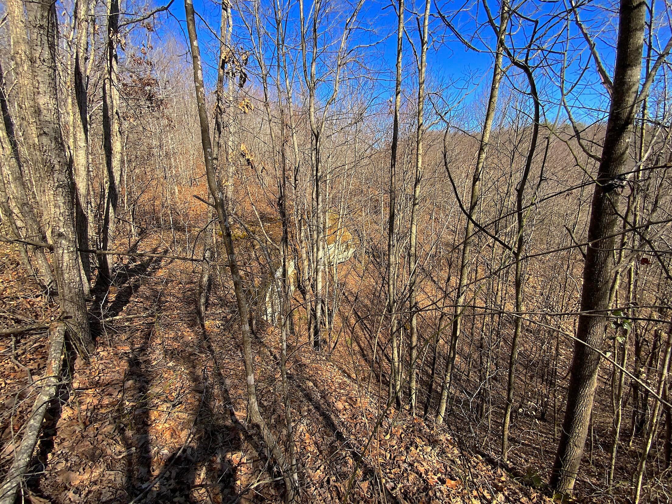 Kelly Road, Ray, Ohio image 8