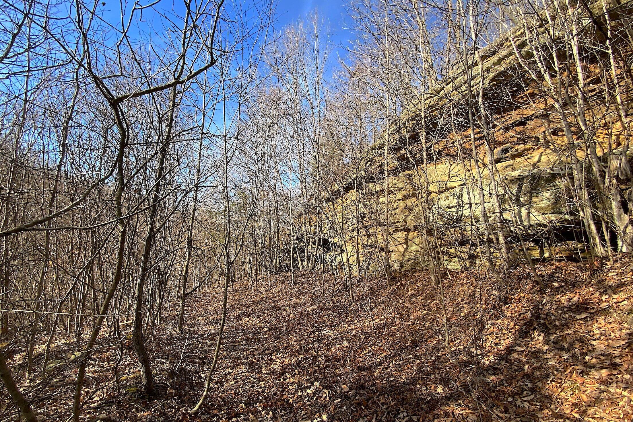 Kelly Road, Ray, Ohio image 37
