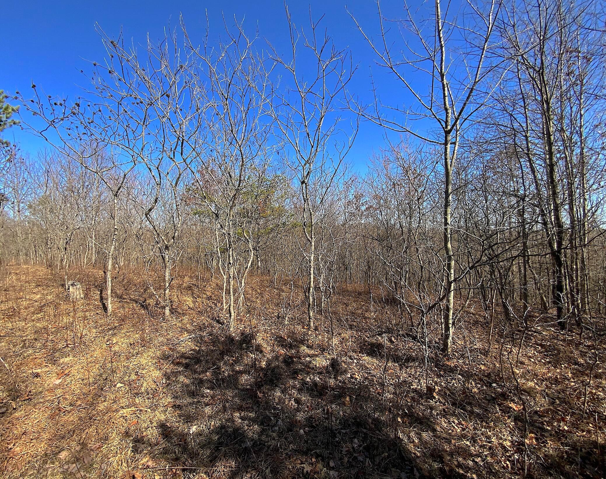 Kelly Road, Ray, Ohio image 20
