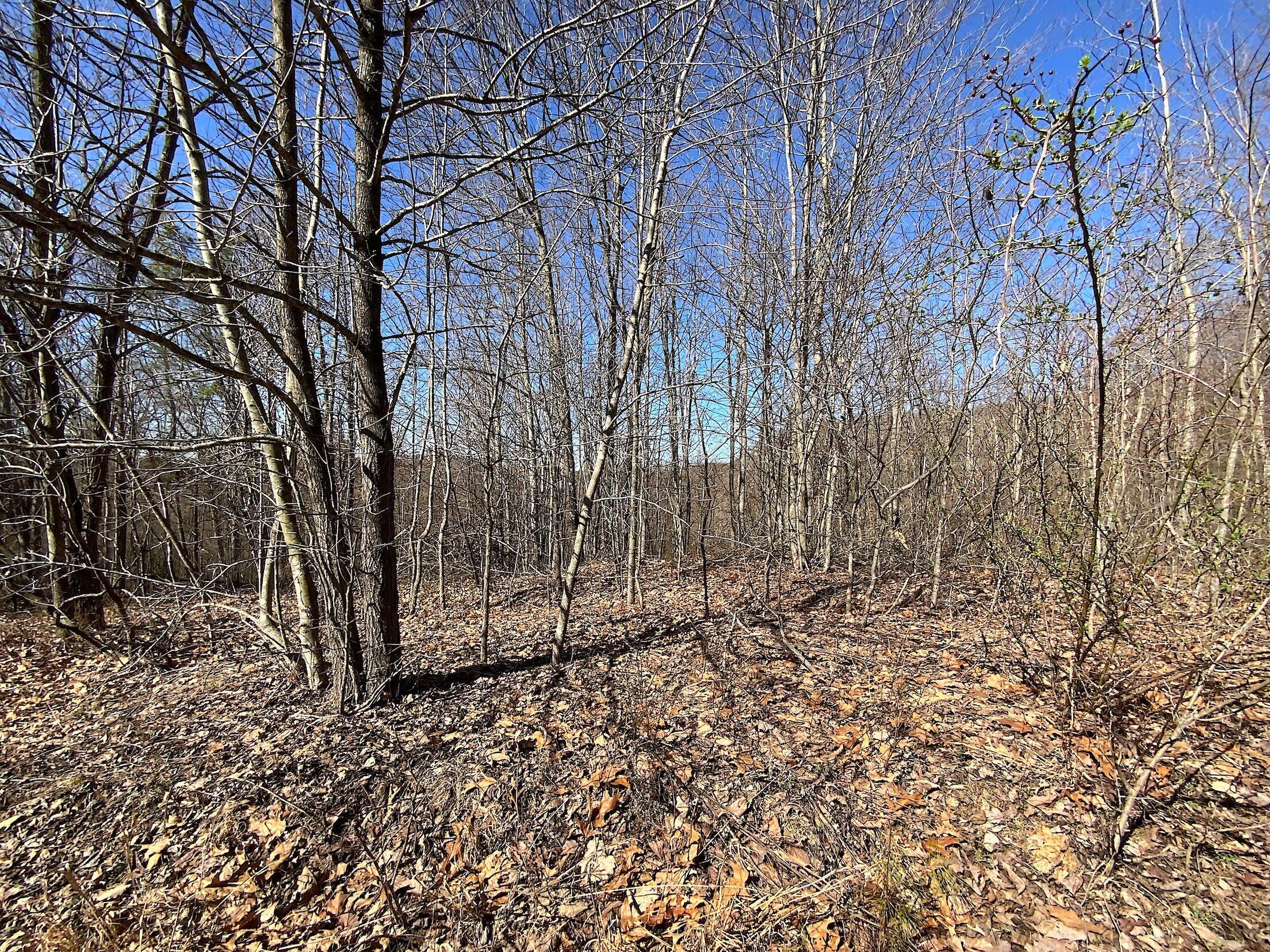 Kelly Road, Ray, Ohio image 6