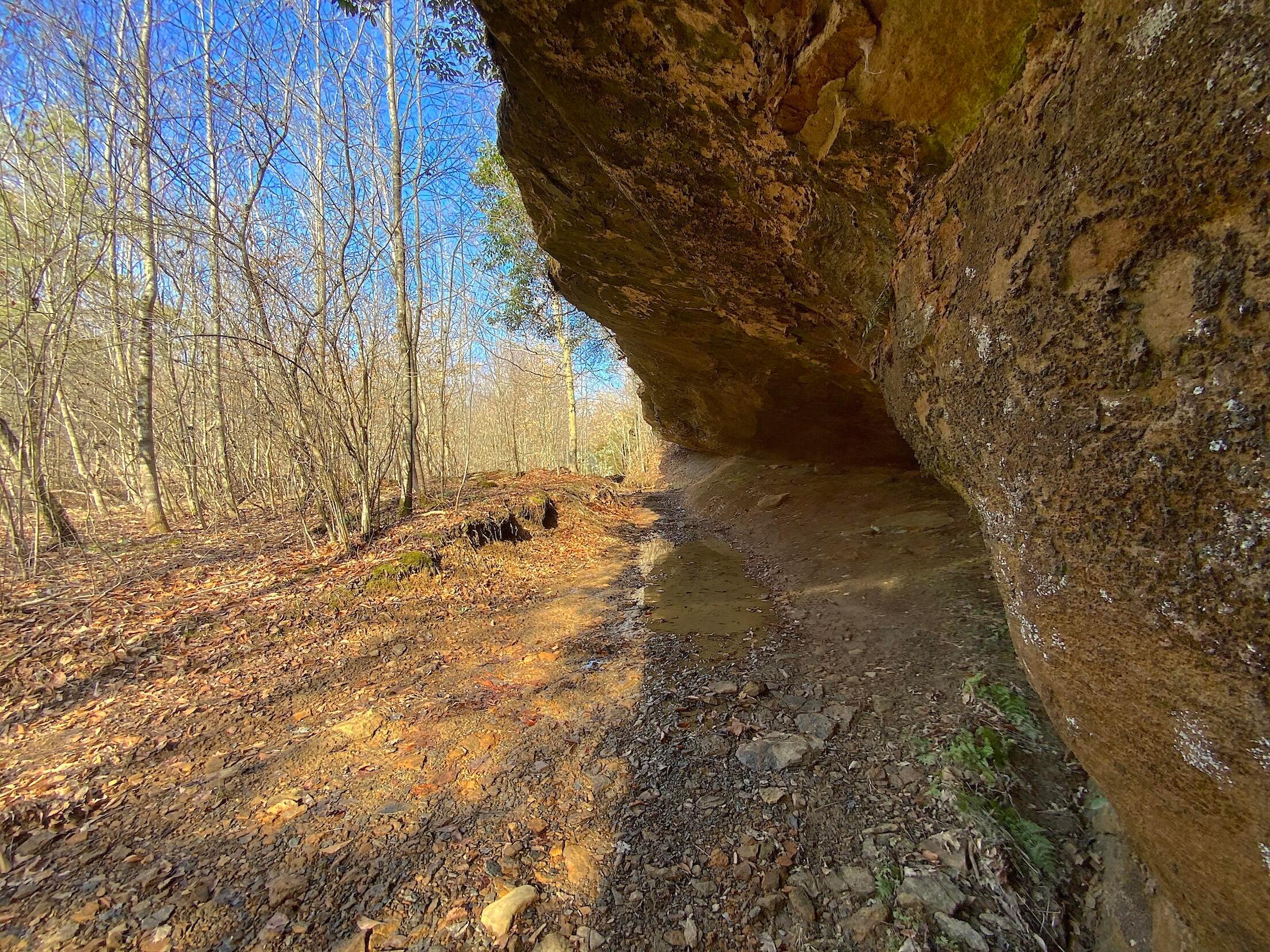 Kelly Road, Ray, Ohio image 35