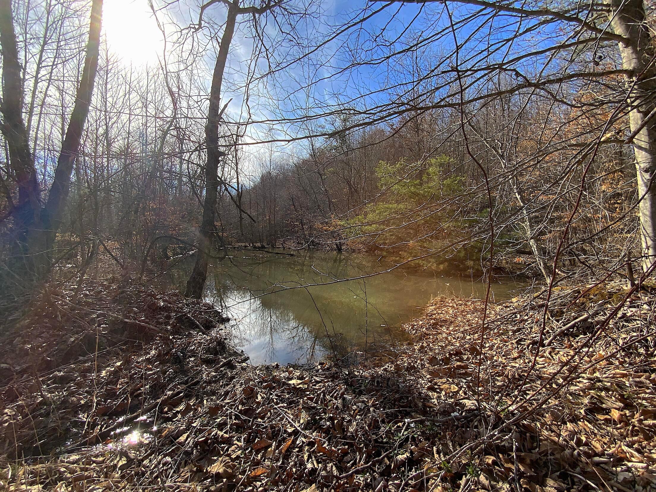 Kelly Road, Ray, Ohio image 34