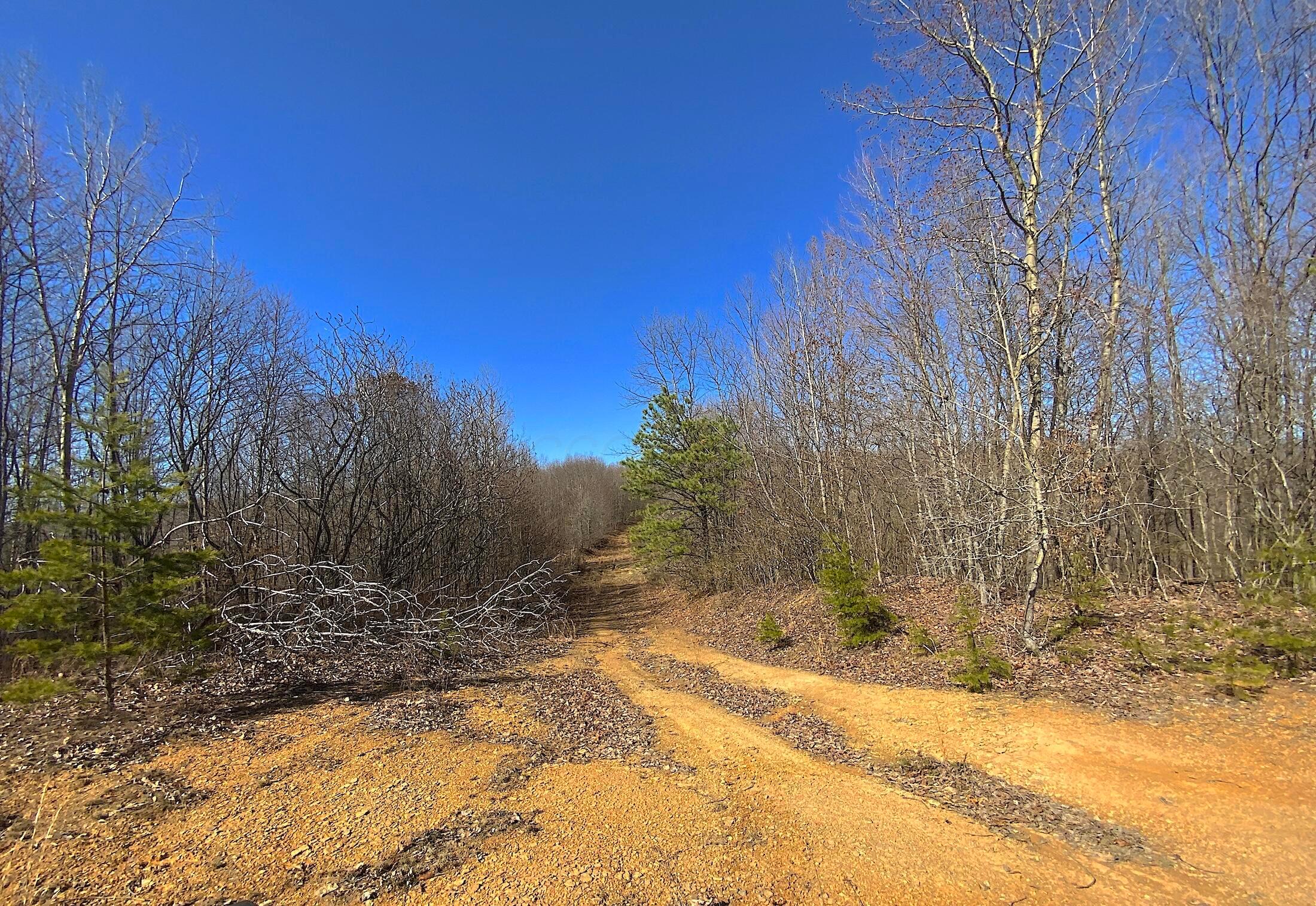 Kelly Road, Ray, Ohio image 18