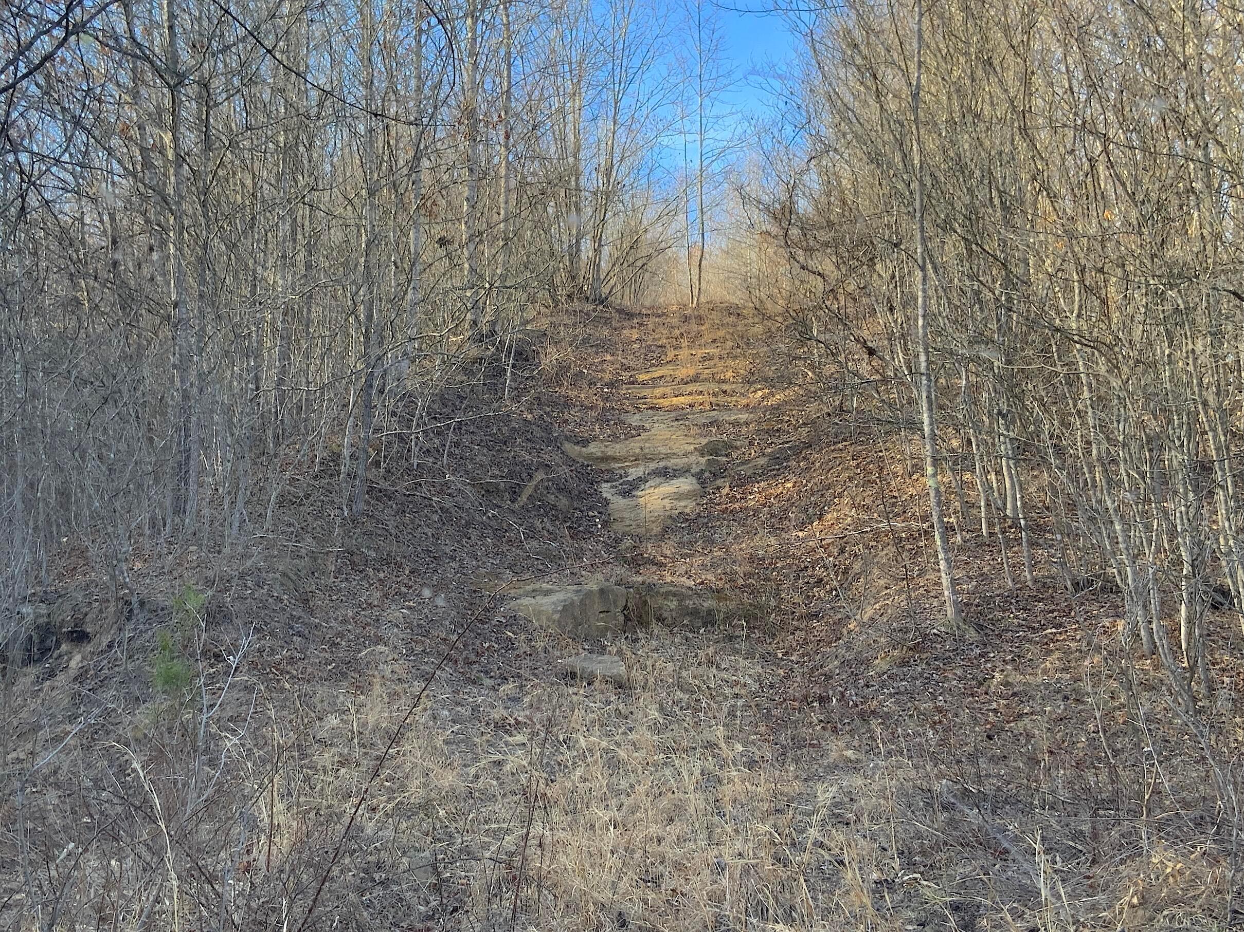 Kelly Road, Ray, Ohio image 41