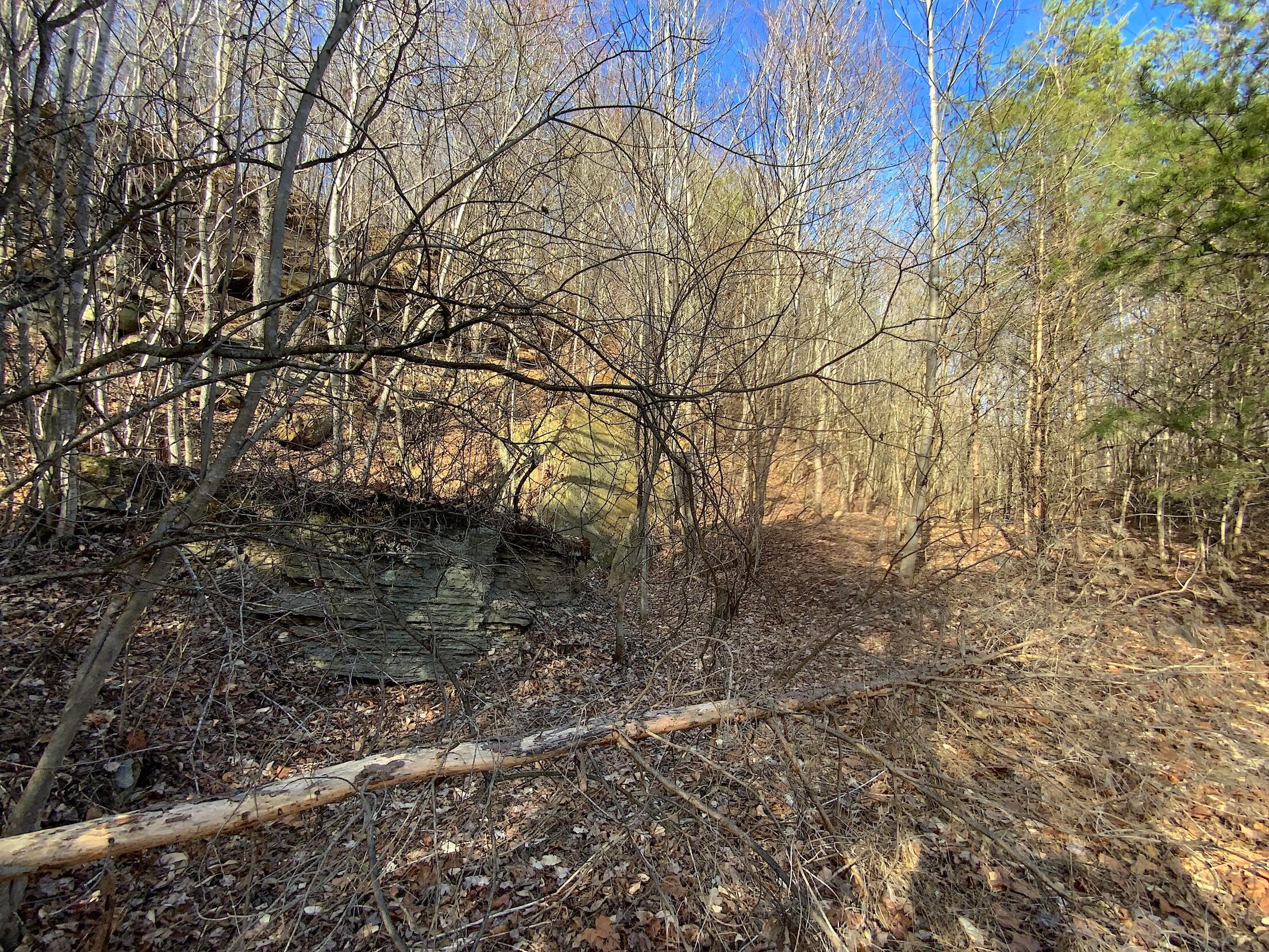 Kelly Road, Ray, Ohio image 33