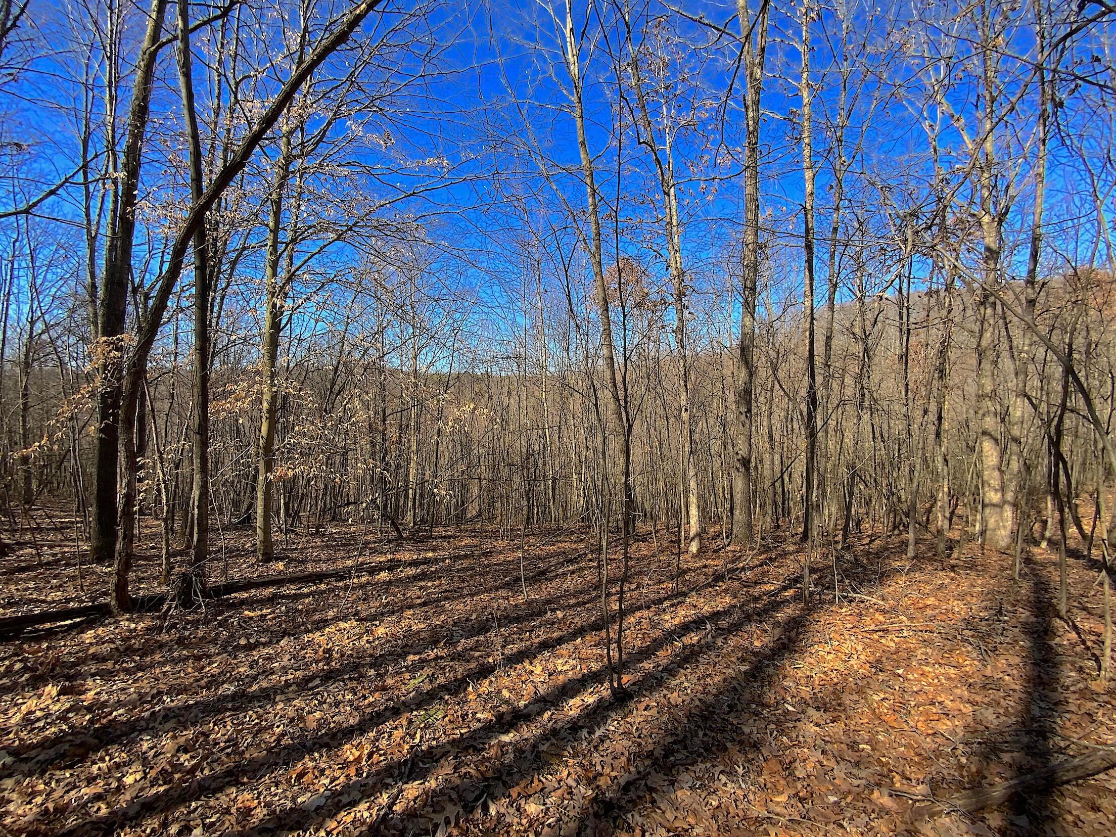 Kelly Road, Ray, Ohio image 11