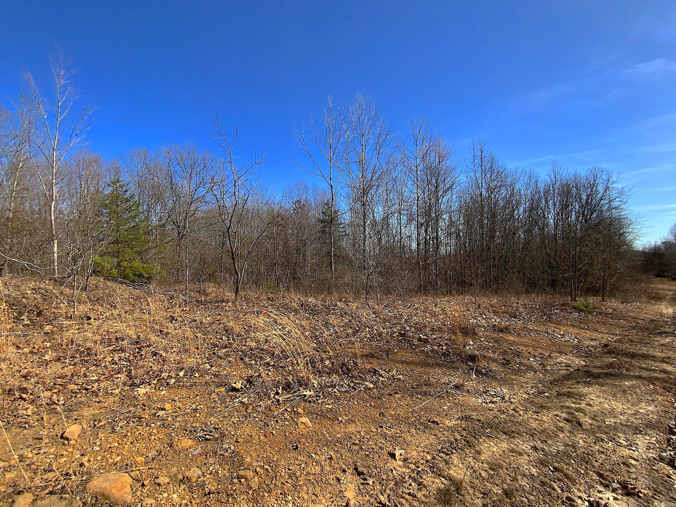 Kelly Road, Ray, Ohio image 15