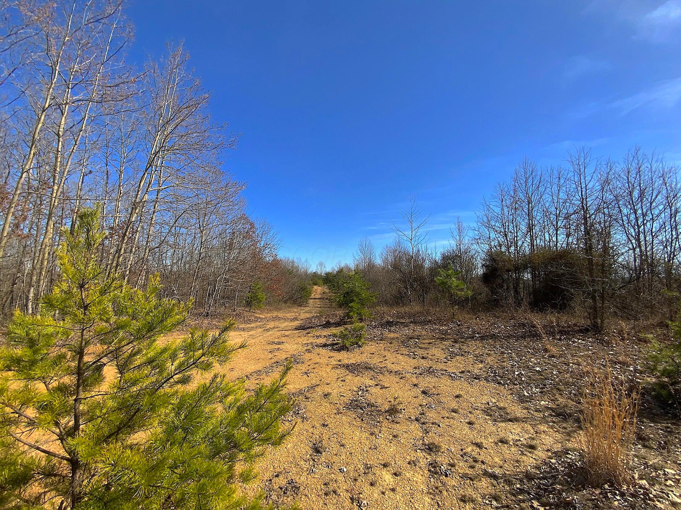 Kelly Road, Ray, Ohio image 16