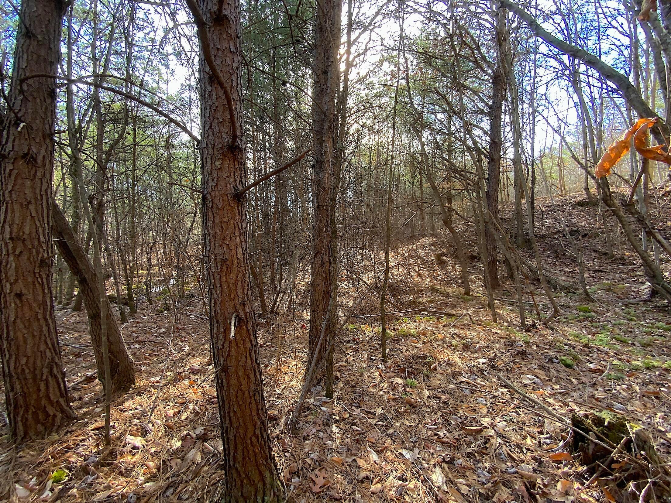 Kelly Road, Ray, Ohio image 32
