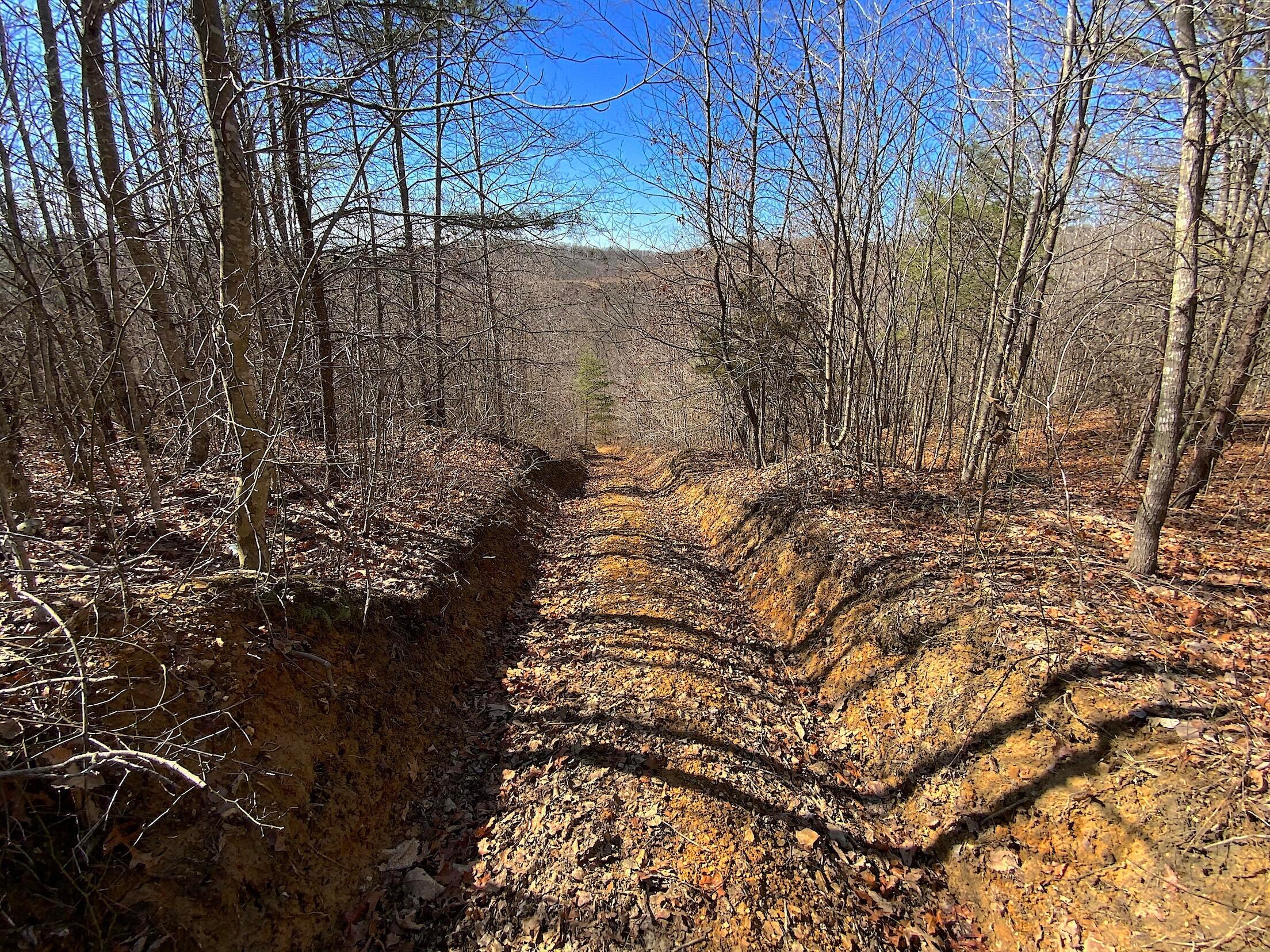 Kelly Road, Ray, Ohio image 7