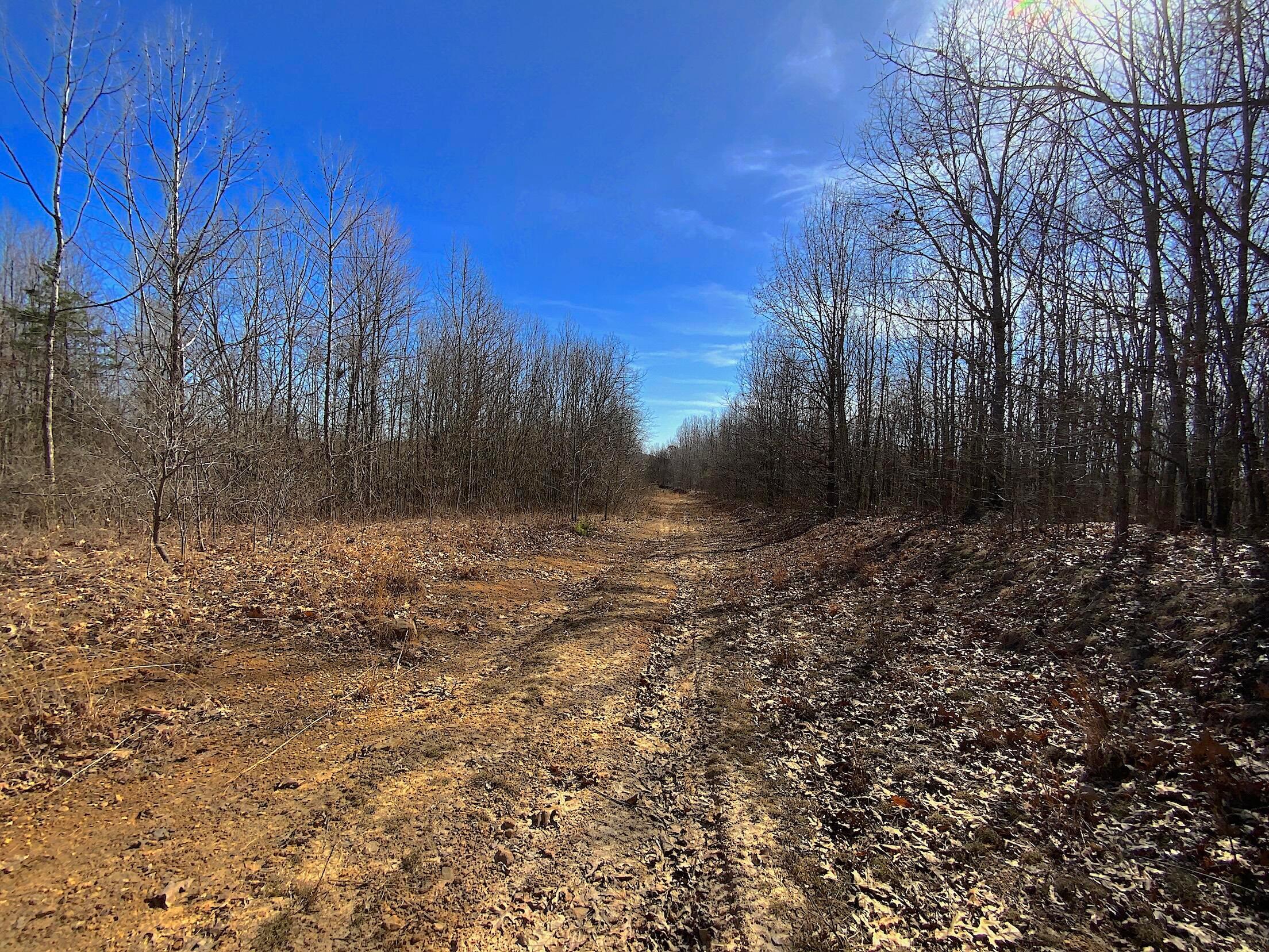 Kelly Road, Ray, Ohio image 14