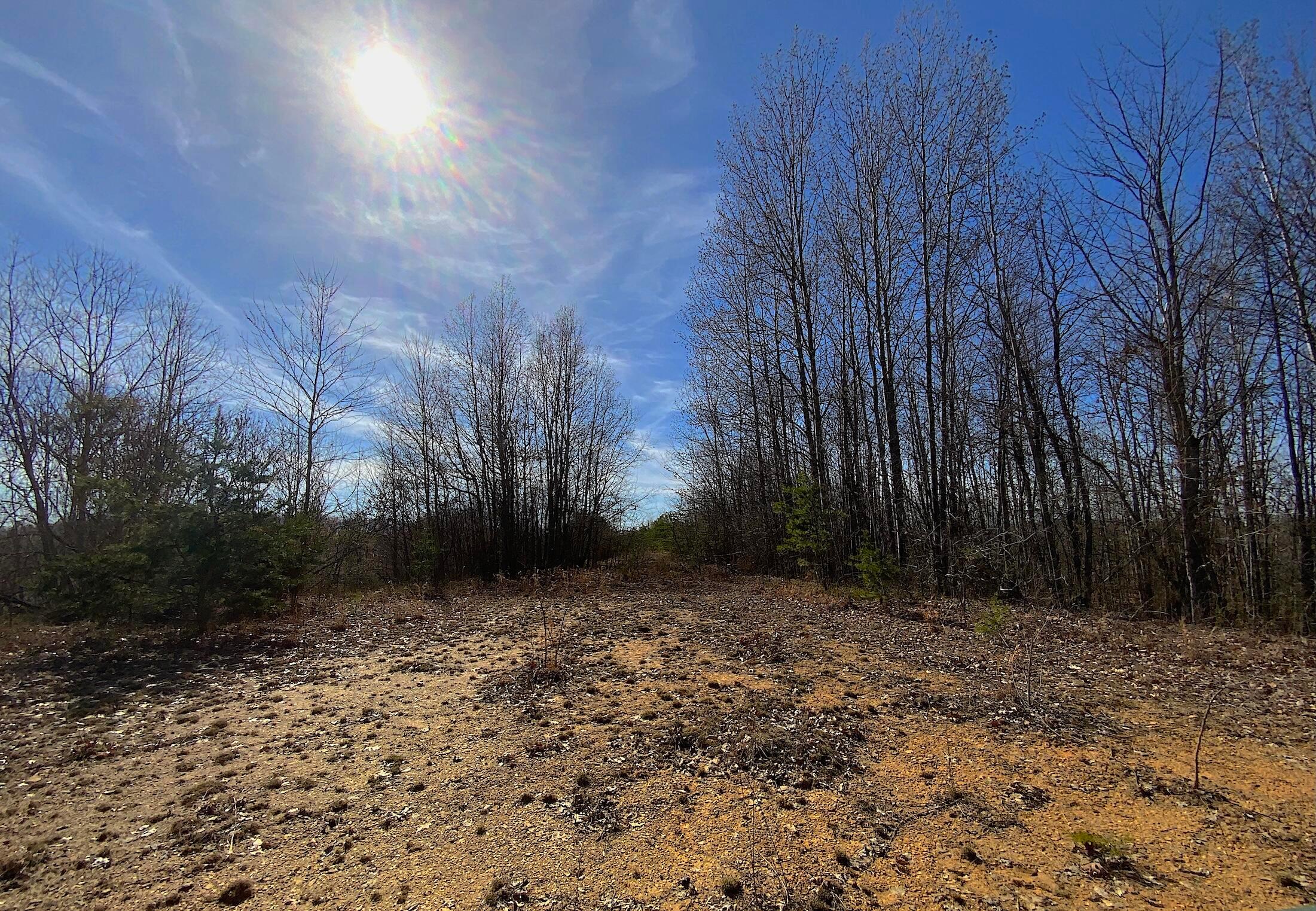 Kelly Road, Ray, Ohio image 17