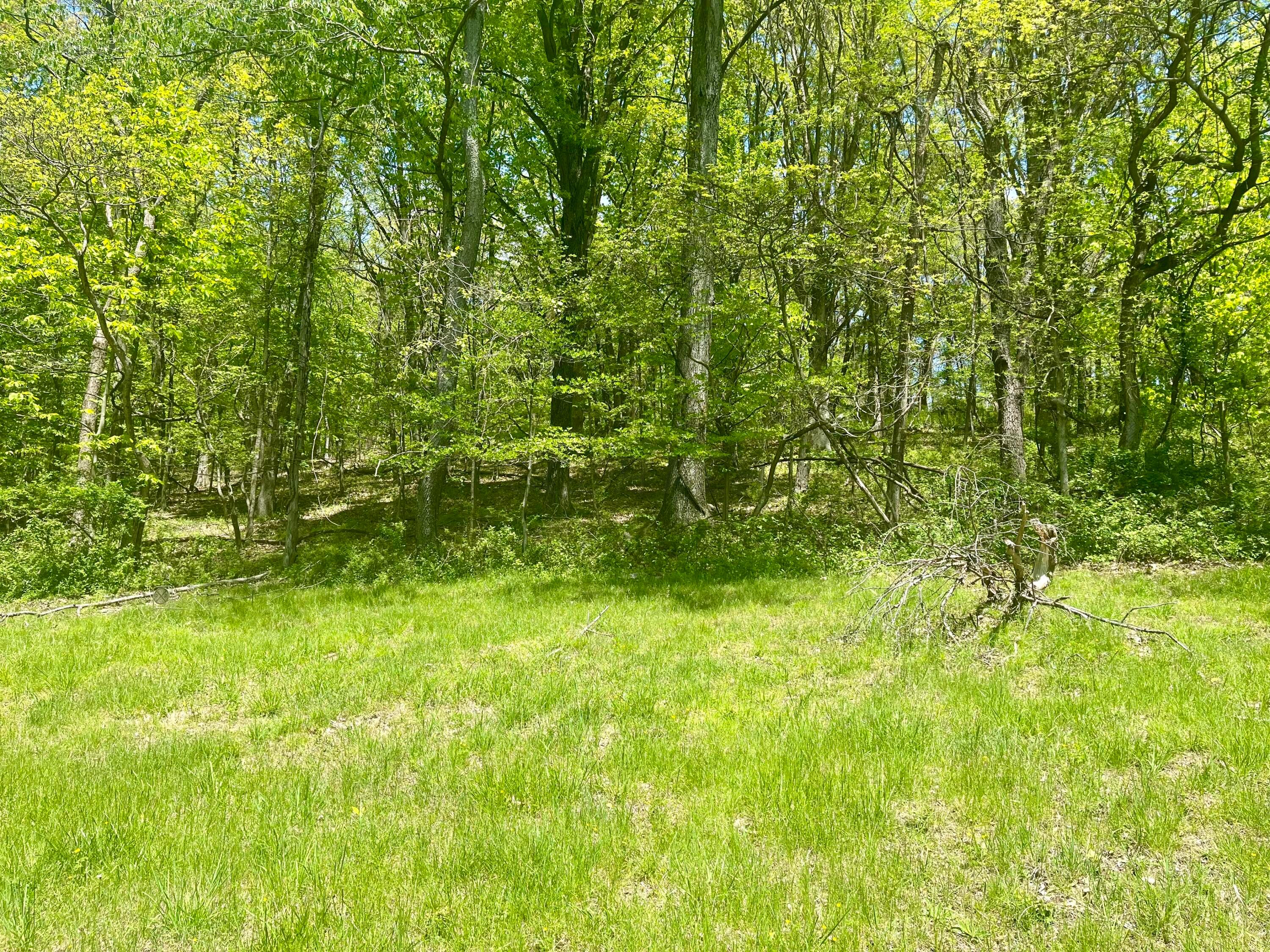 3579 Sharon Valley Road, Newark, Ohio image 36