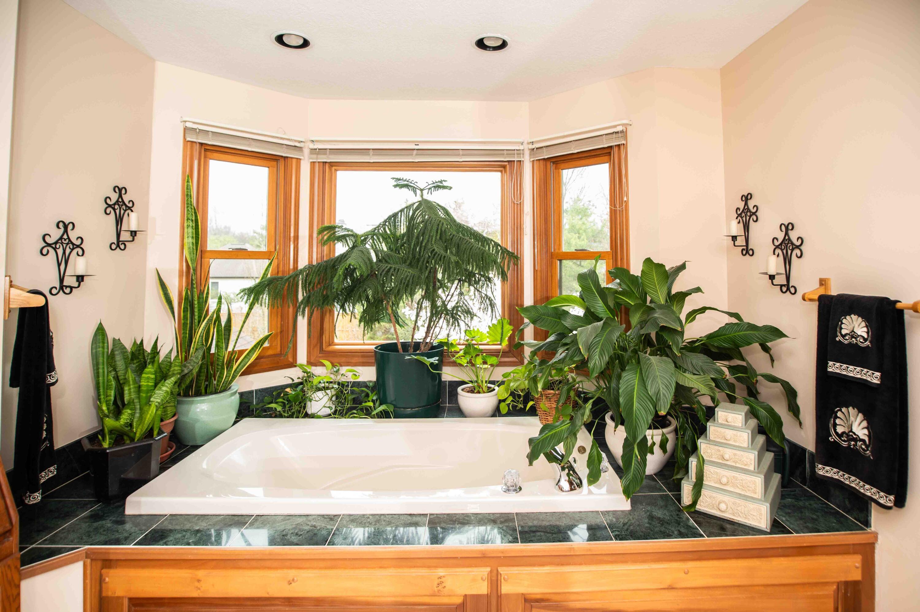 214 Mckenna Creek Drive, Columbus, Ohio image 49