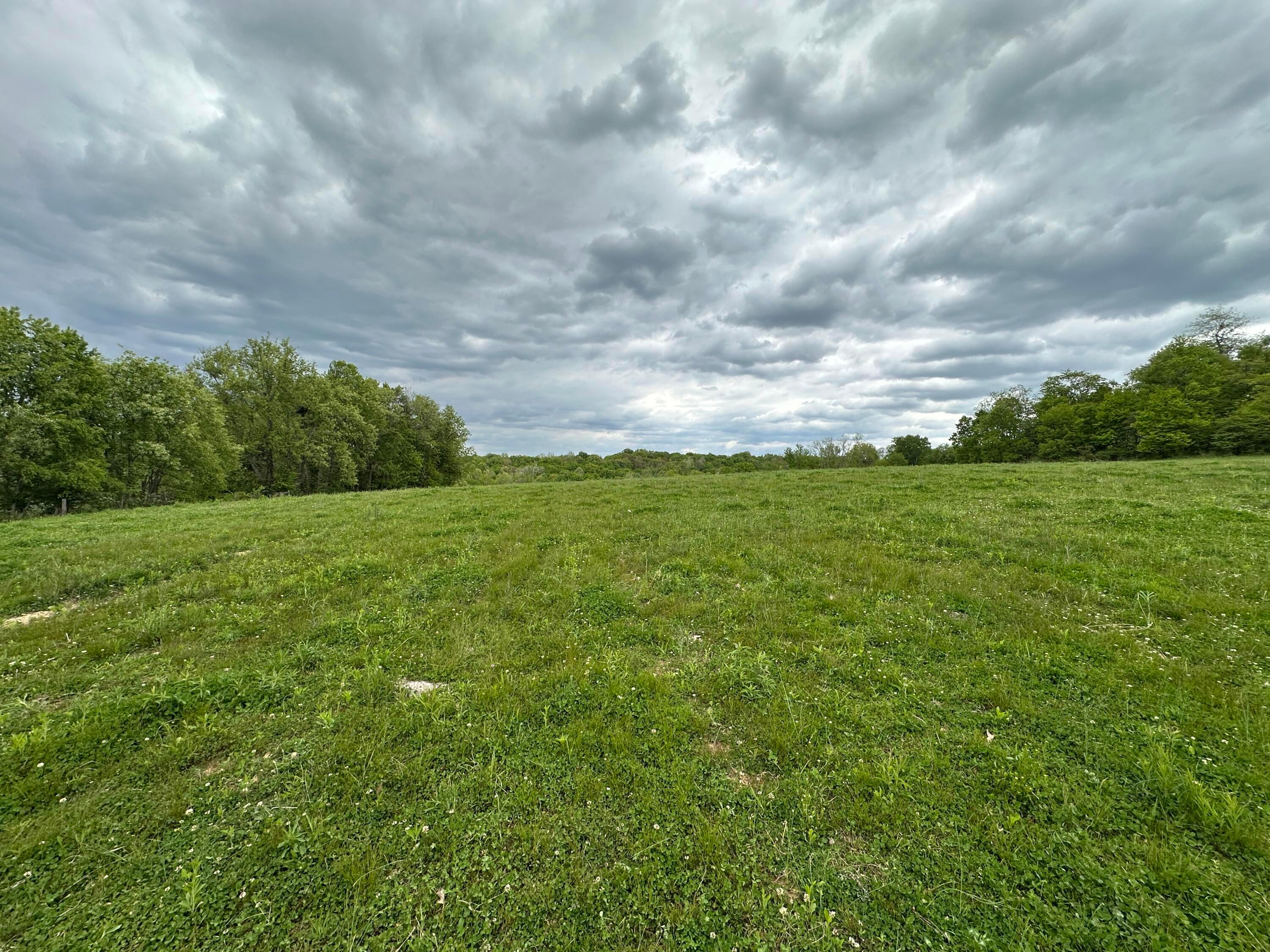 13924 George Ice Rd Road