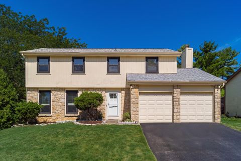 Photo of 3144 Lorne Scots Avenue, Dublin, OH 43017 (MLS # 225034560)