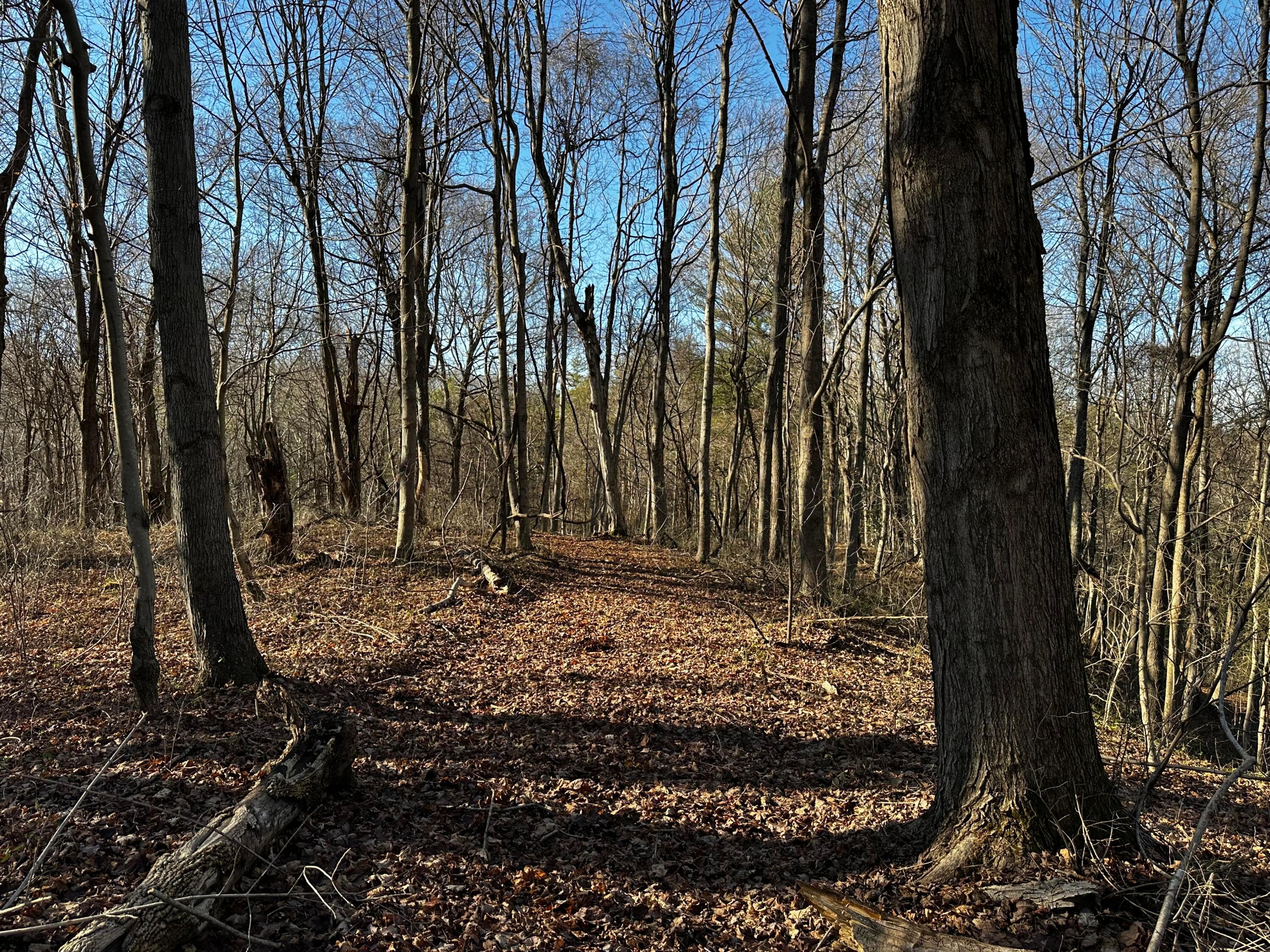 3424 Titus Road #SYCAMORE CABIN AT TITUS, Langsville, Ohio image 36