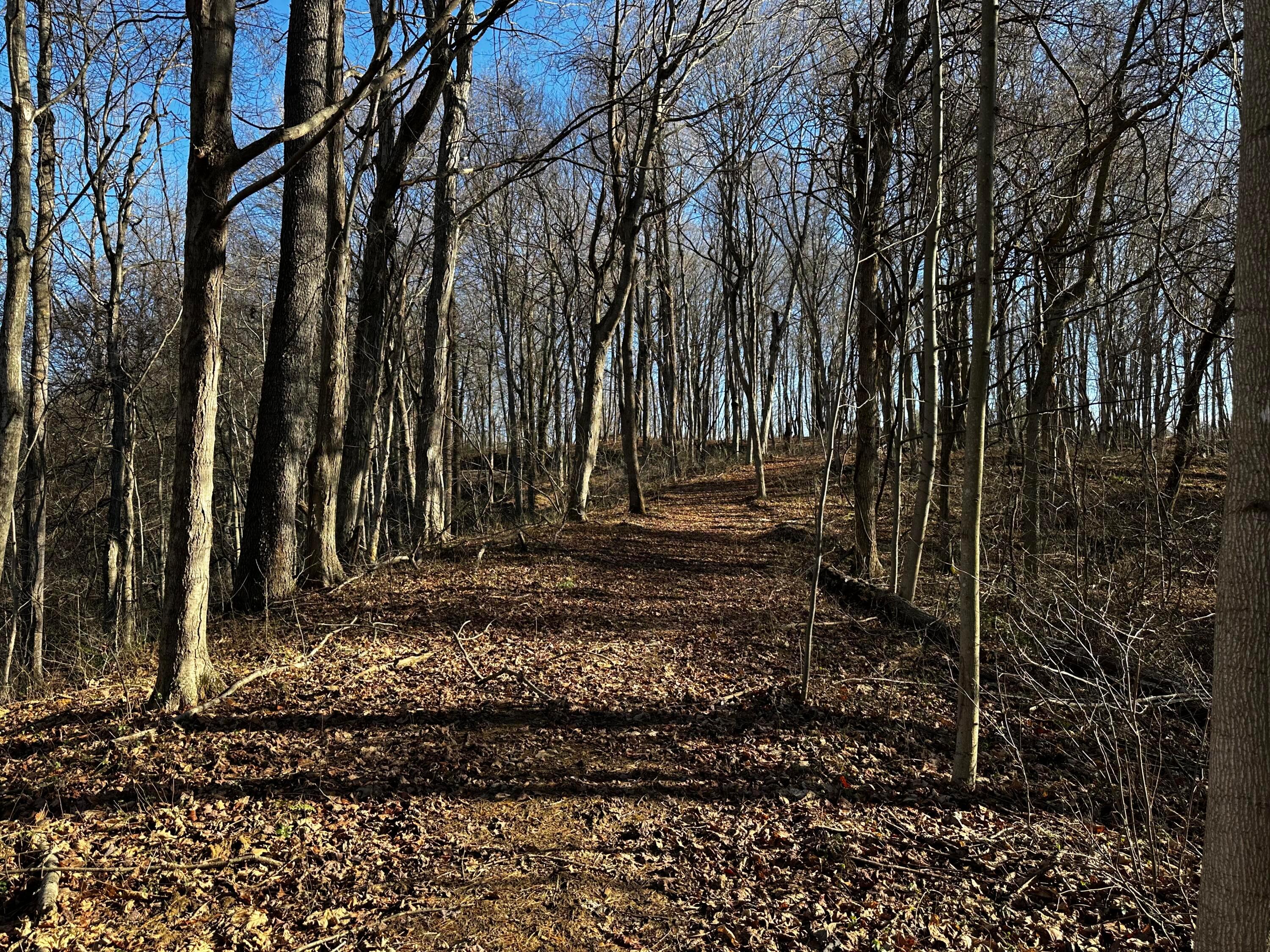 3424 Titus Road #SYCAMORE CABIN AT TITUS, Langsville, Ohio image 30