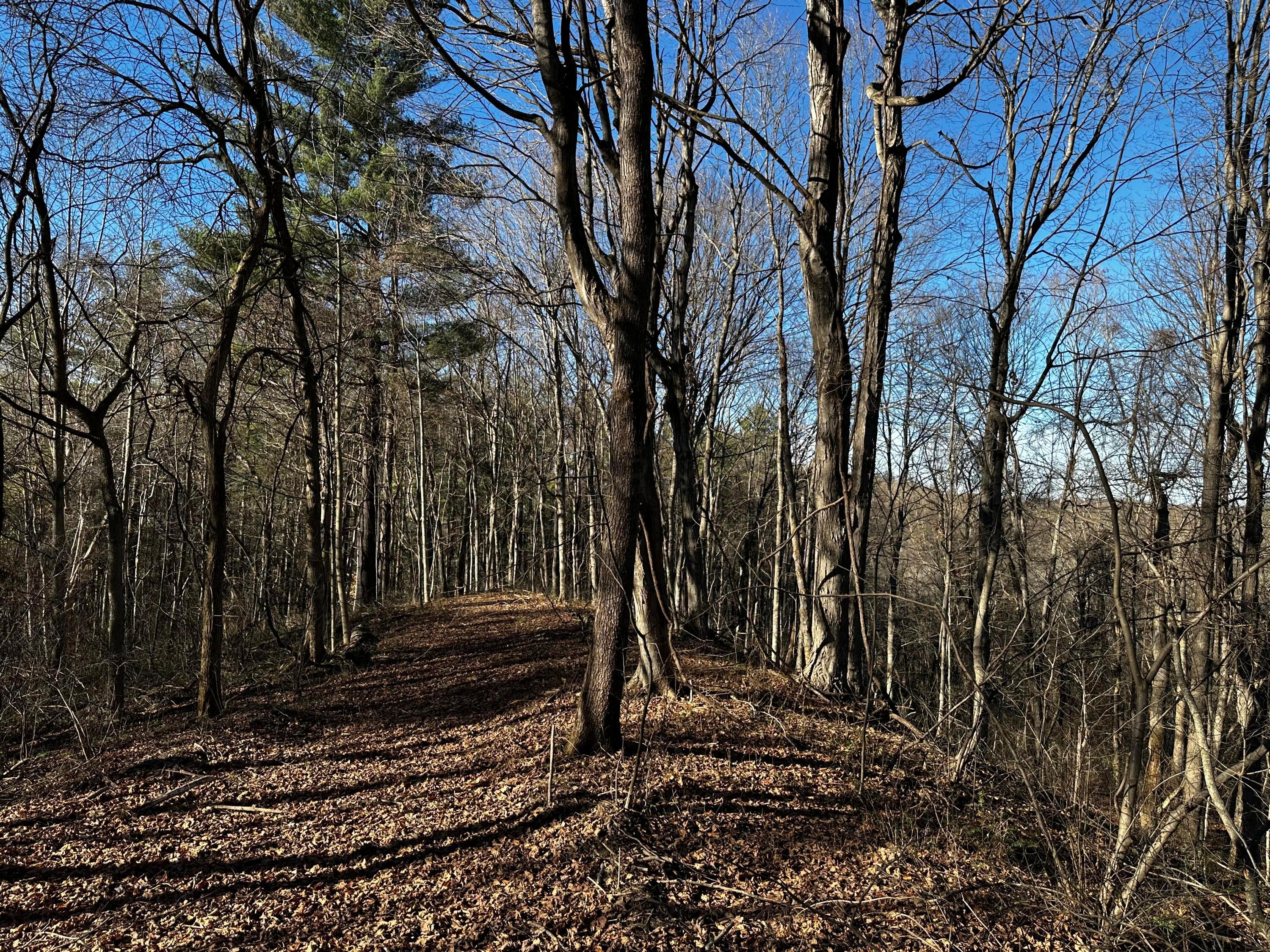 3424 Titus Road #SYCAMORE CABIN AT TITUS, Langsville, Ohio image 35