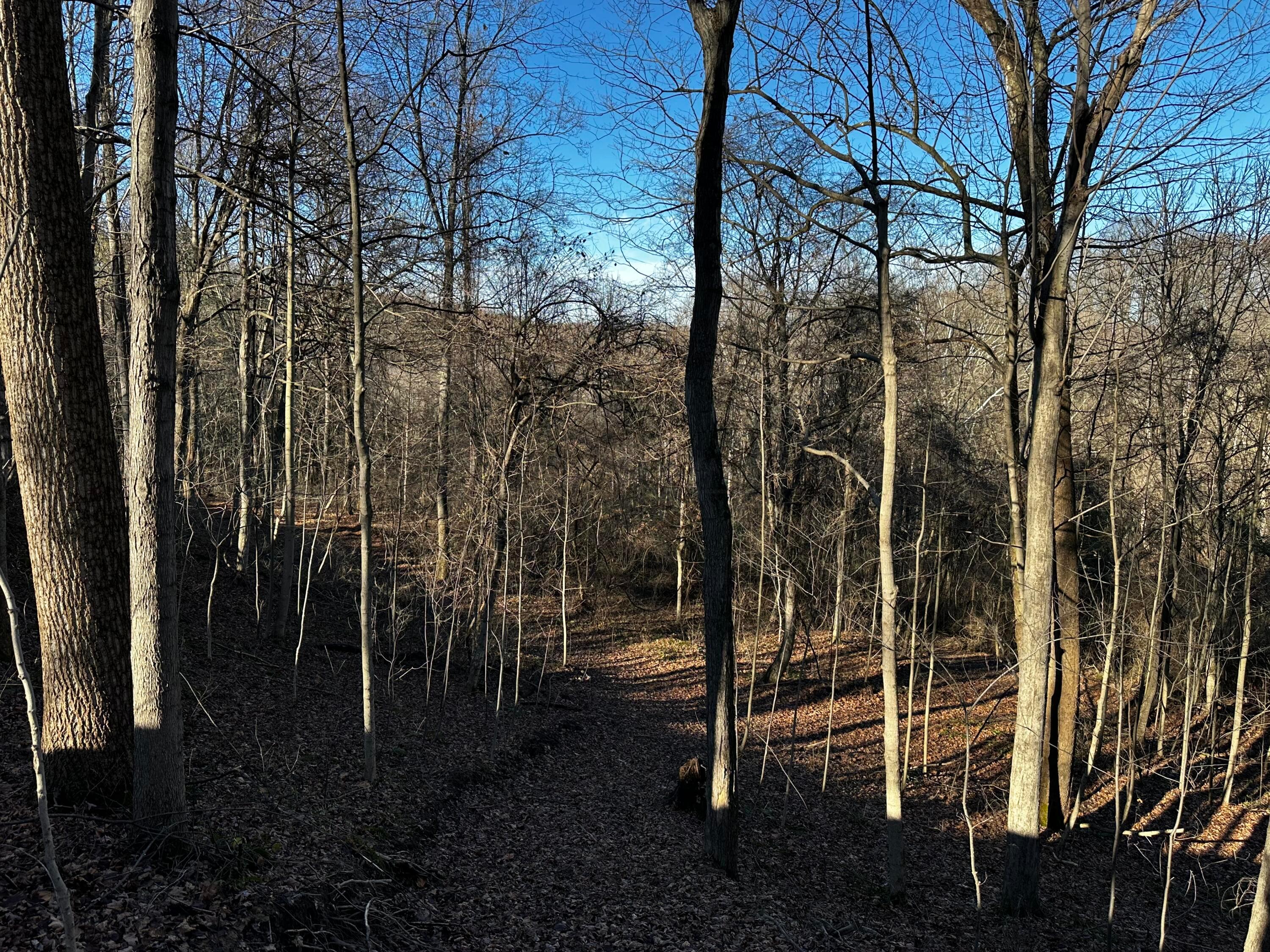 3424 Titus Road #SYCAMORE CABIN AT TITUS, Langsville, Ohio image 37