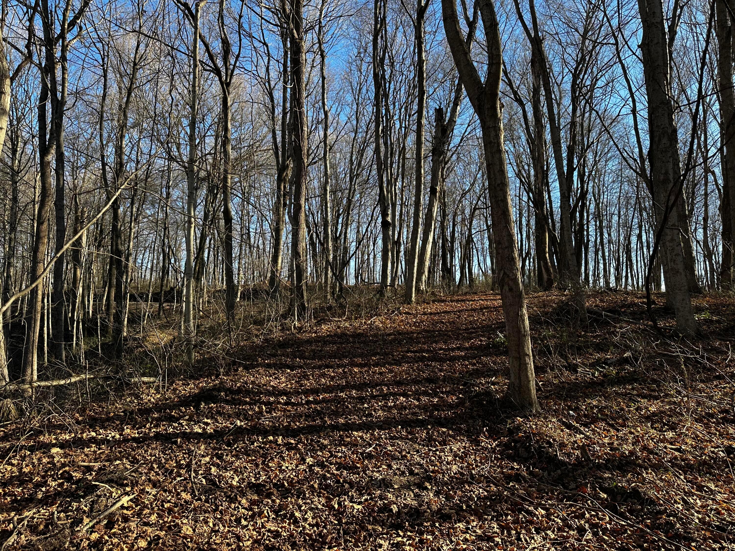 3424 Titus Road #SYCAMORE CABIN AT TITUS, Langsville, Ohio image 33