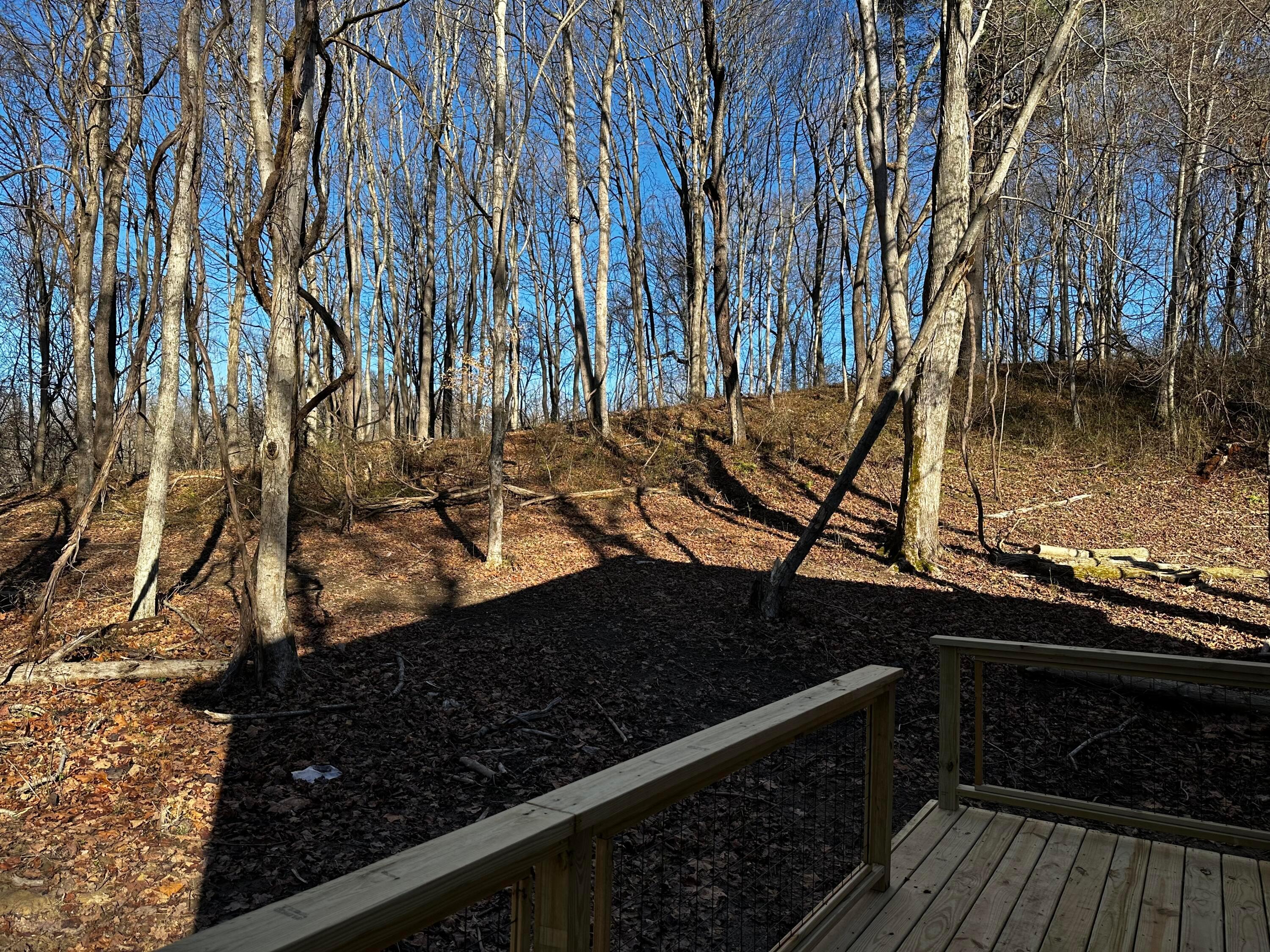 3424 Titus Road #SYCAMORE CABIN AT TITUS, Langsville, Ohio image 23