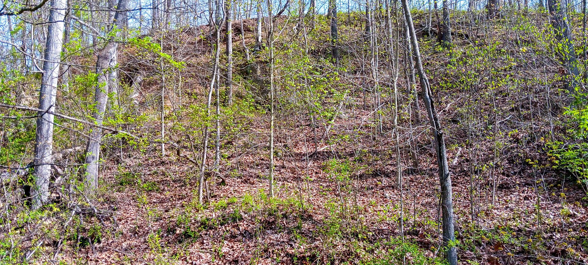 2417 Wells Run Road #CROWN WILDLIFE TRACT 7, Crown City, Ohio image 32