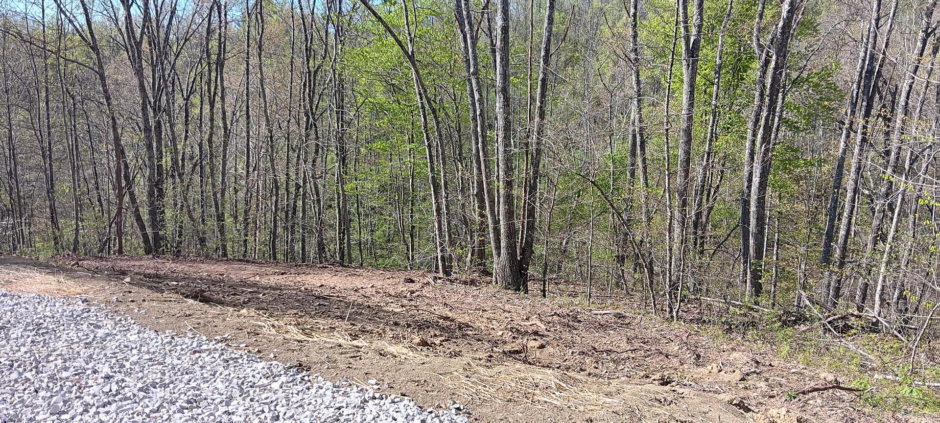 2417 Wells Run Road #CROWN WILDLIFE TRACT 7, Crown City, Ohio image 6