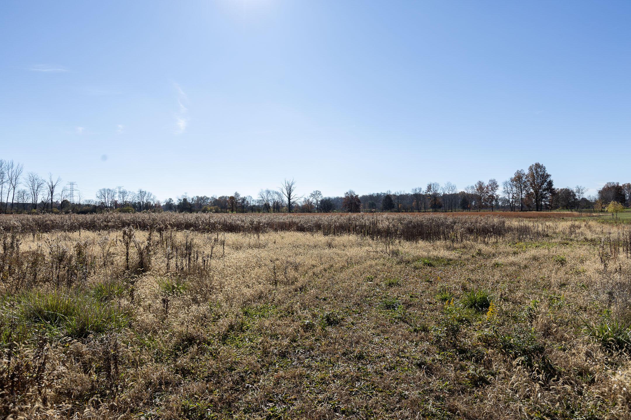 Woodtown Road, Galena, Ohio image 19