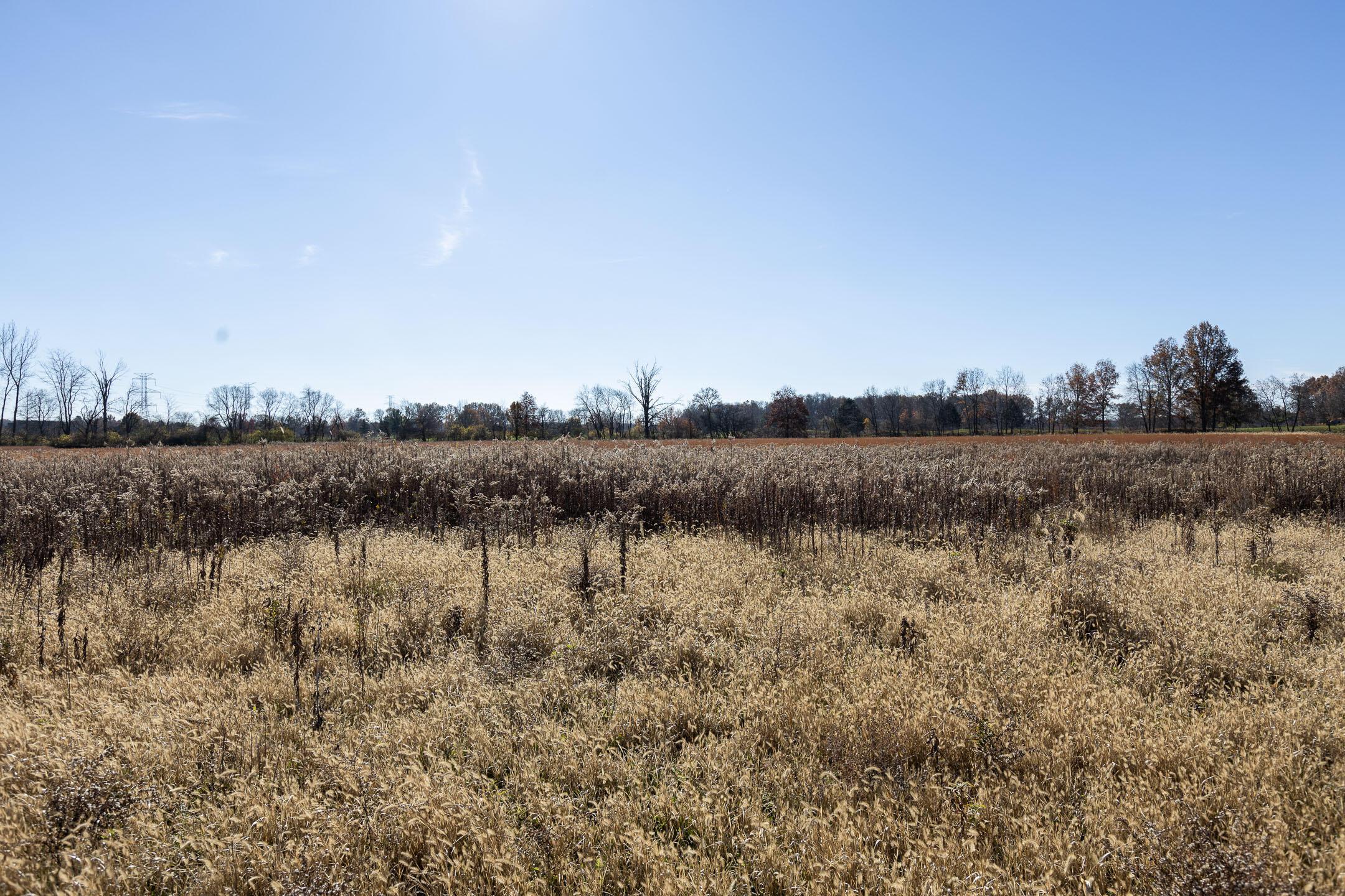 Woodtown Road, Galena, Ohio image 18