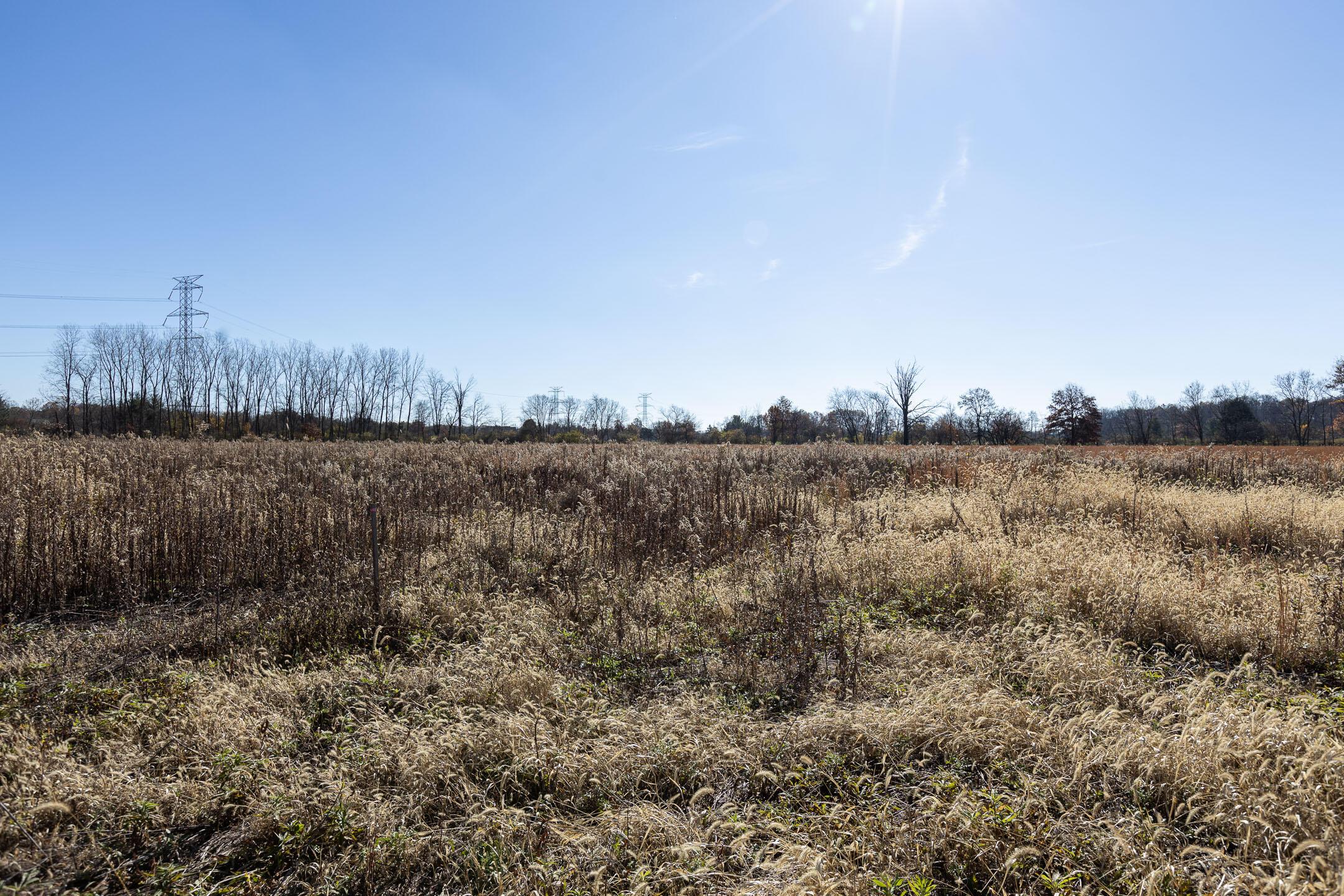 Woodtown Road, Galena, Ohio image 21