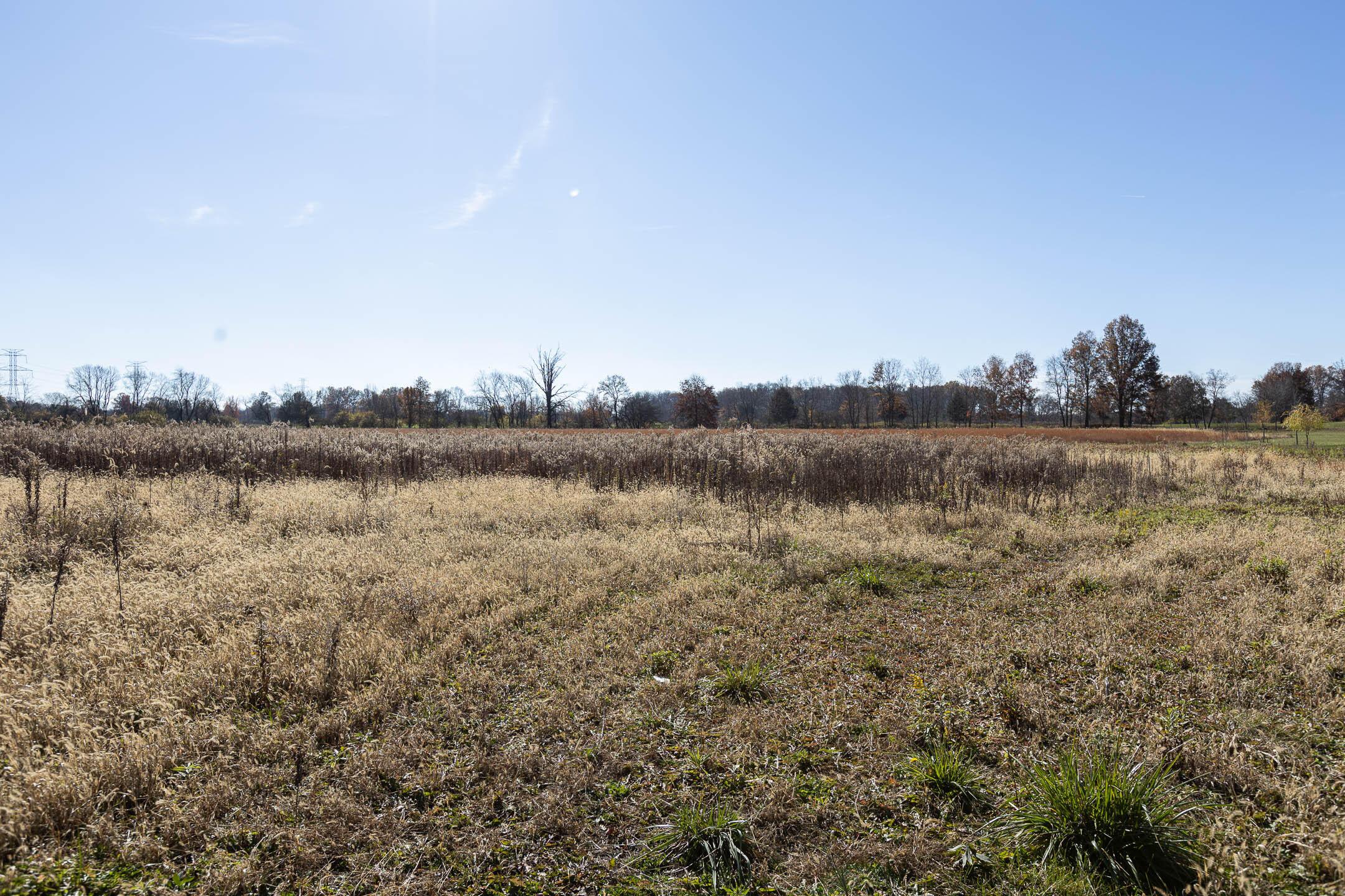 Woodtown Road, Galena, Ohio image 17