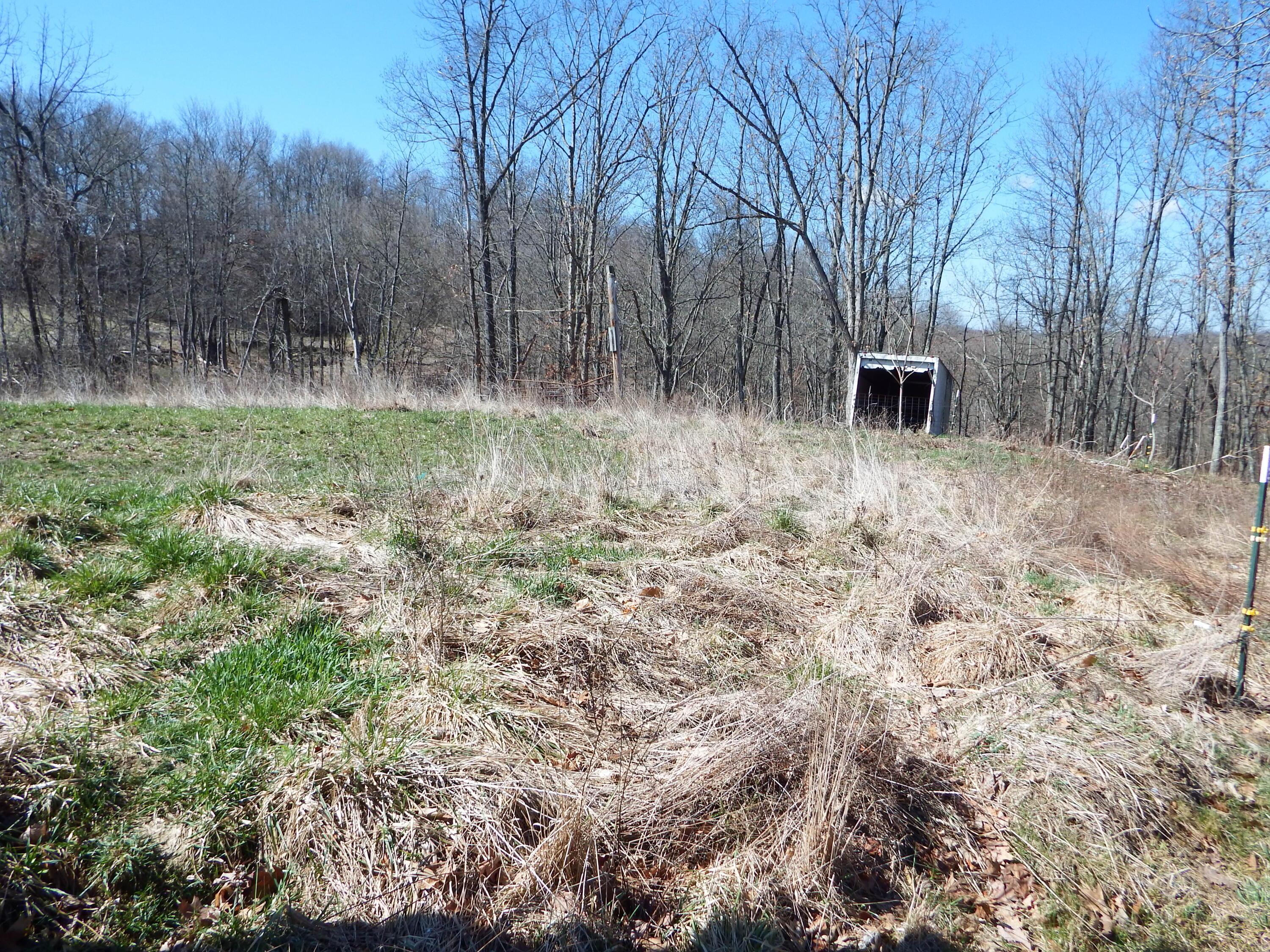 9035 Dozer Ridge Road, Blue Rock, Ohio image 40