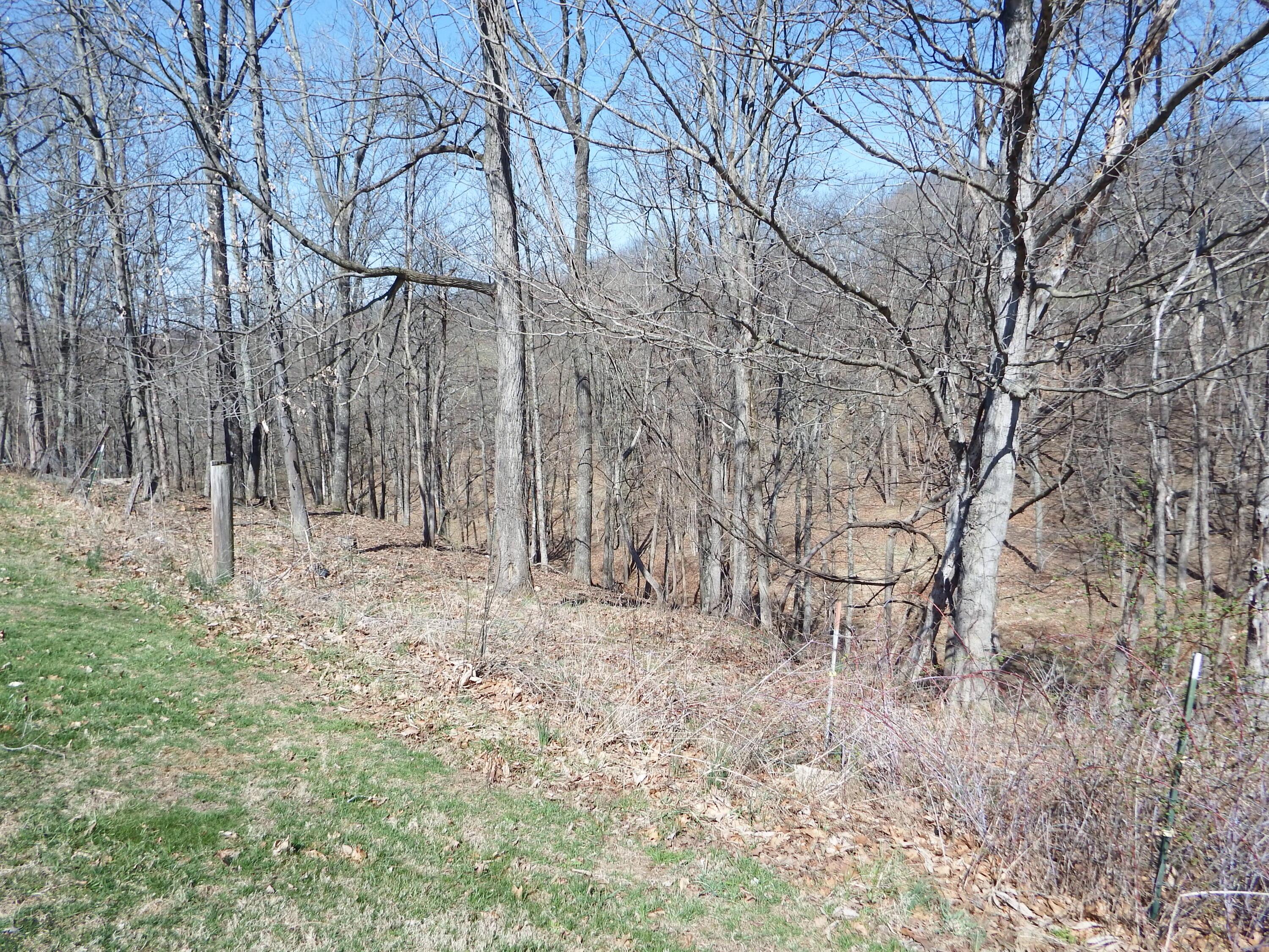 9035 Dozer Ridge Road, Blue Rock, Ohio image 39