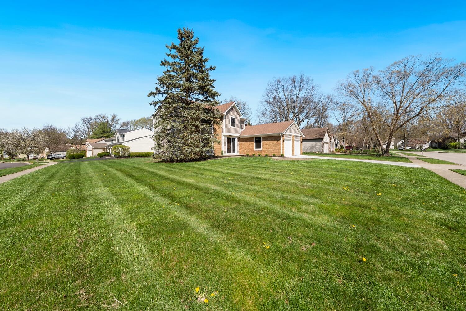 294 Meadow View Drive