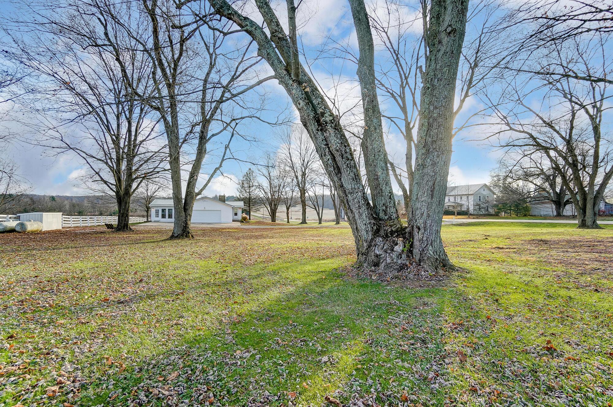 11460 North Street, Utica, Ohio image 4
