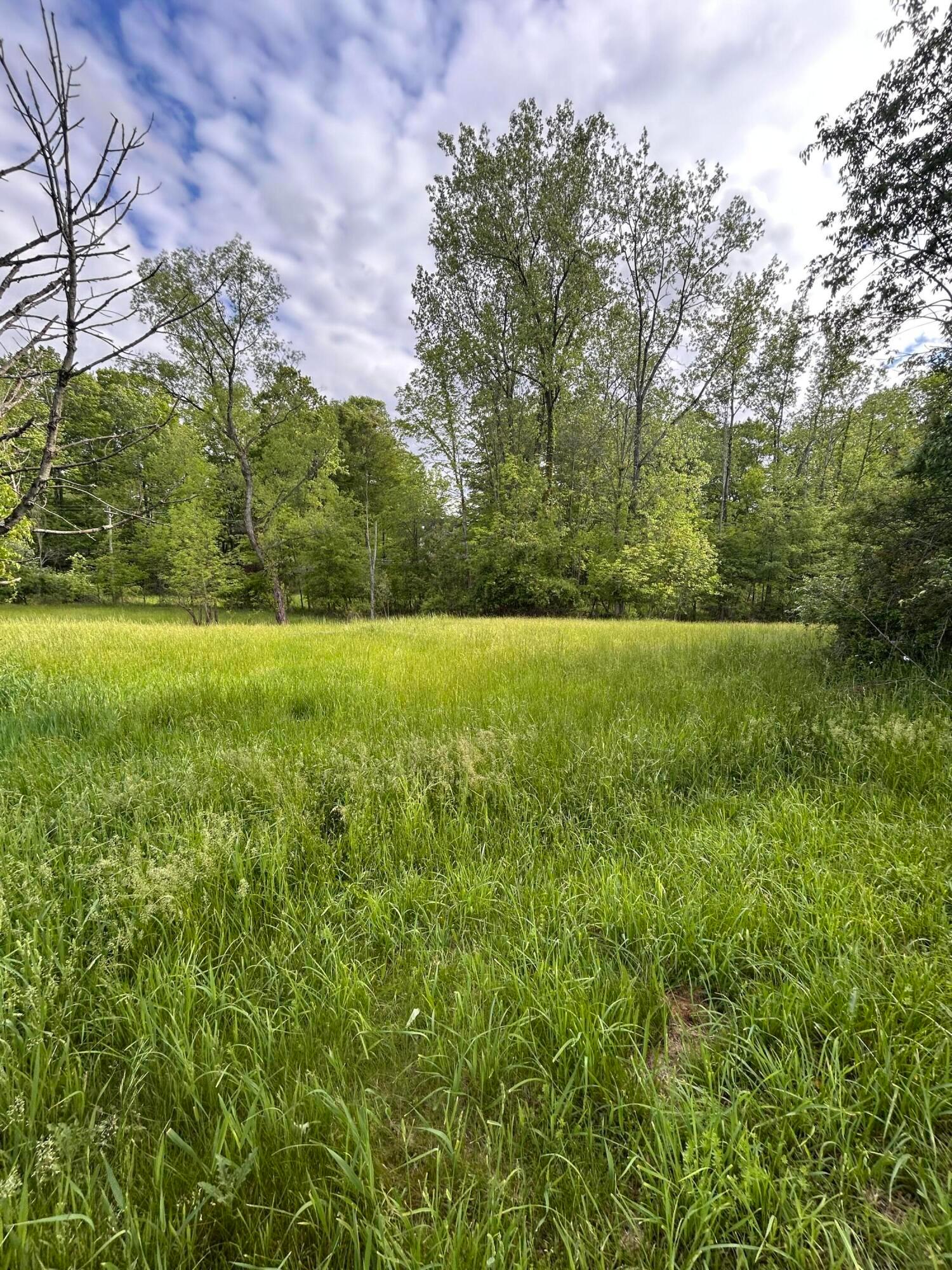 7326 State Route 19 #UNIT 1 - LOT 90, 91, 92, Mount Gilead, Ohio image 4
