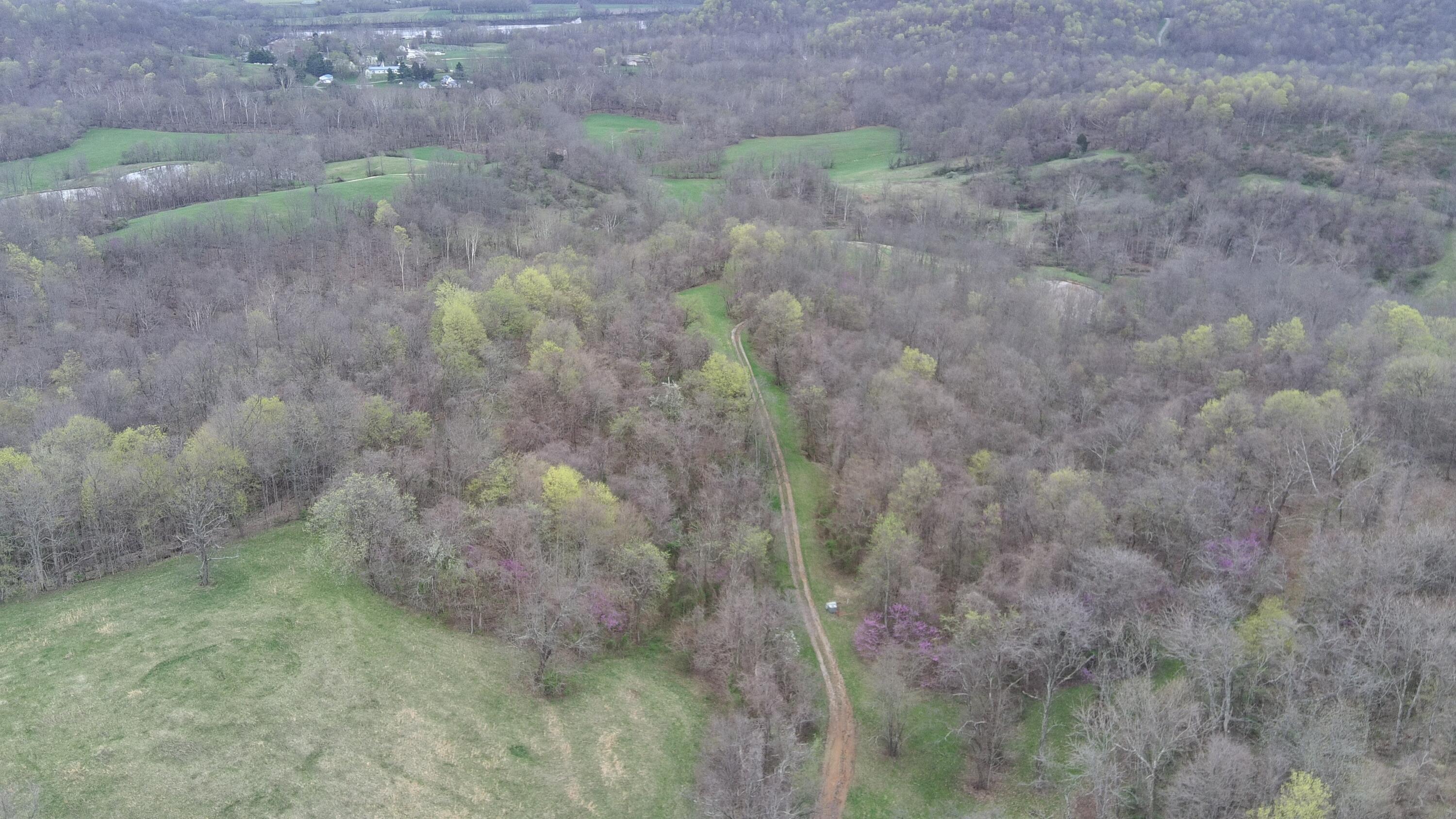 213 Nelson Road, Gallipolis, Ohio image 37