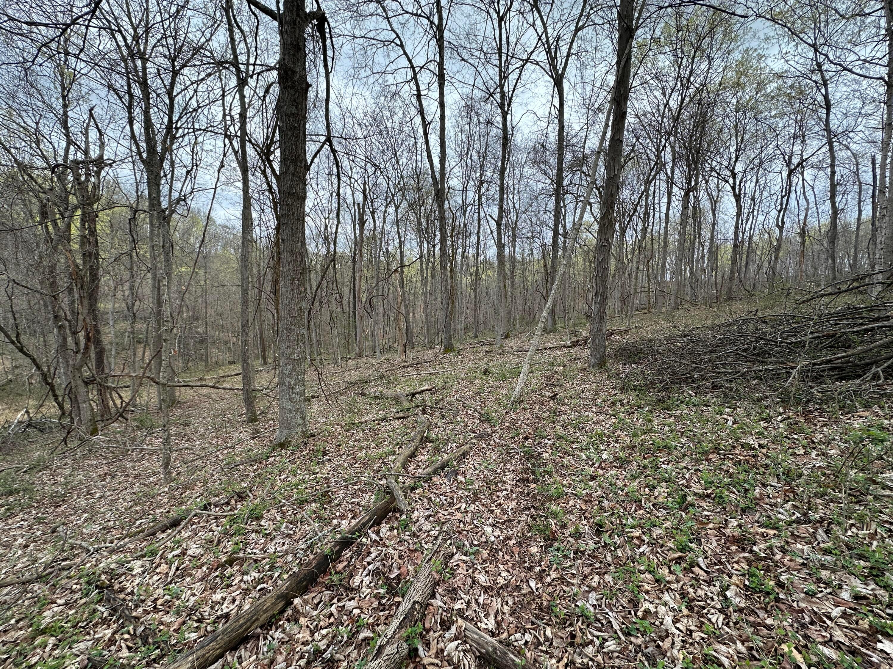 213 Nelson Road, Gallipolis, Ohio image 30