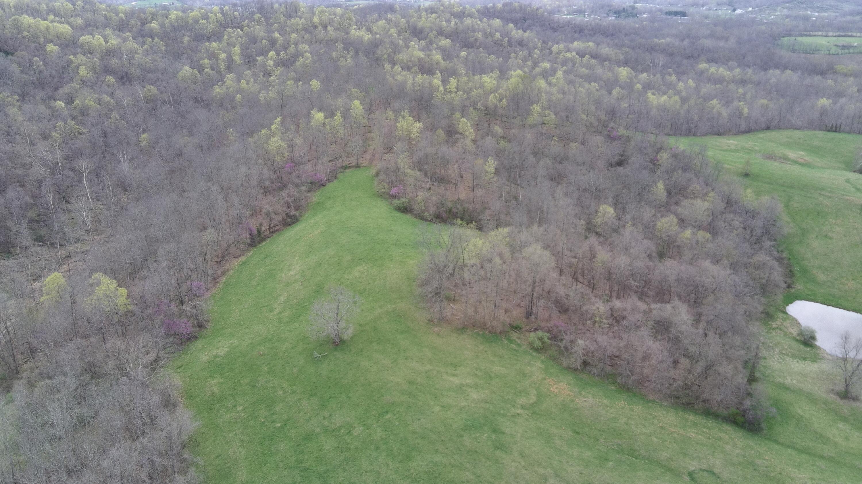 213 Nelson Road, Gallipolis, Ohio image 50