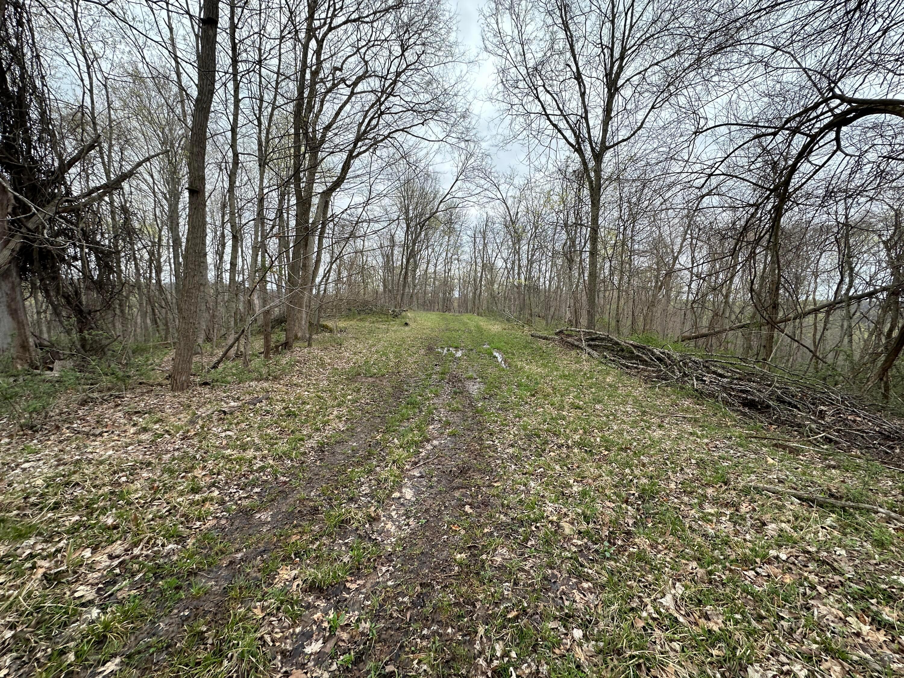 213 Nelson Road, Gallipolis, Ohio image 28