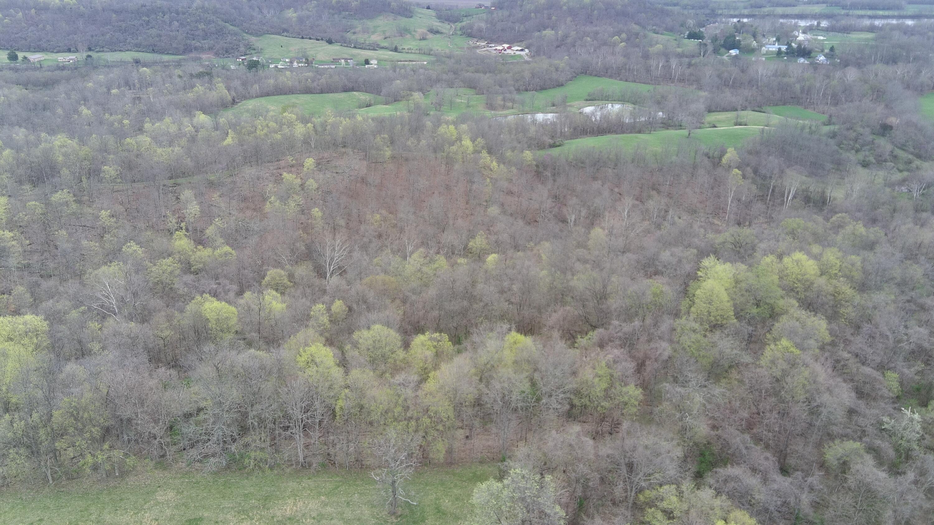 213 Nelson Road, Gallipolis, Ohio image 38