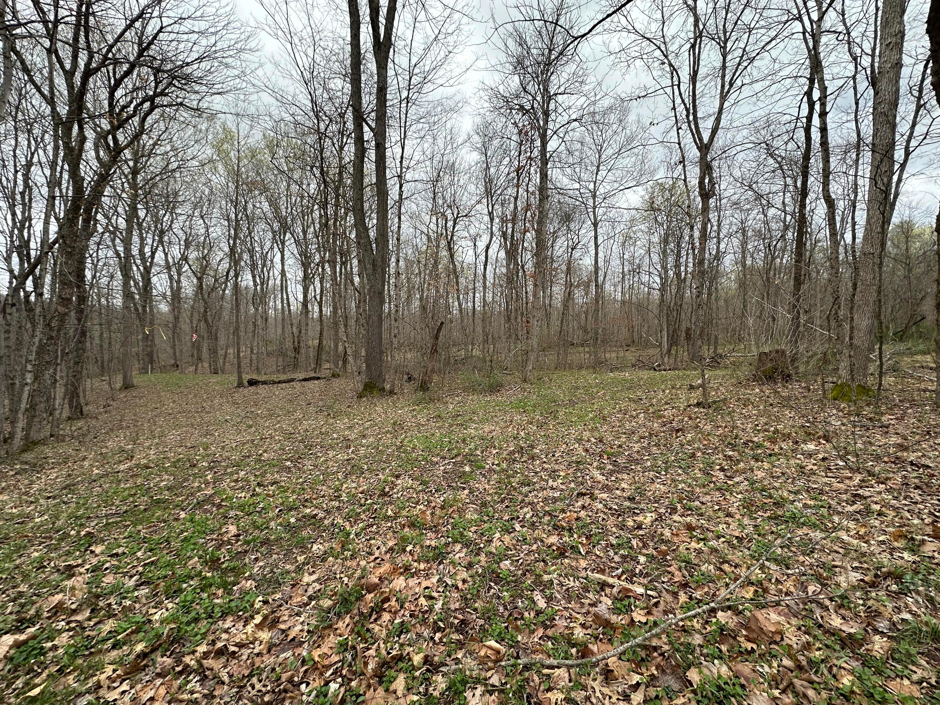 213 Nelson Road, Gallipolis, Ohio image 31