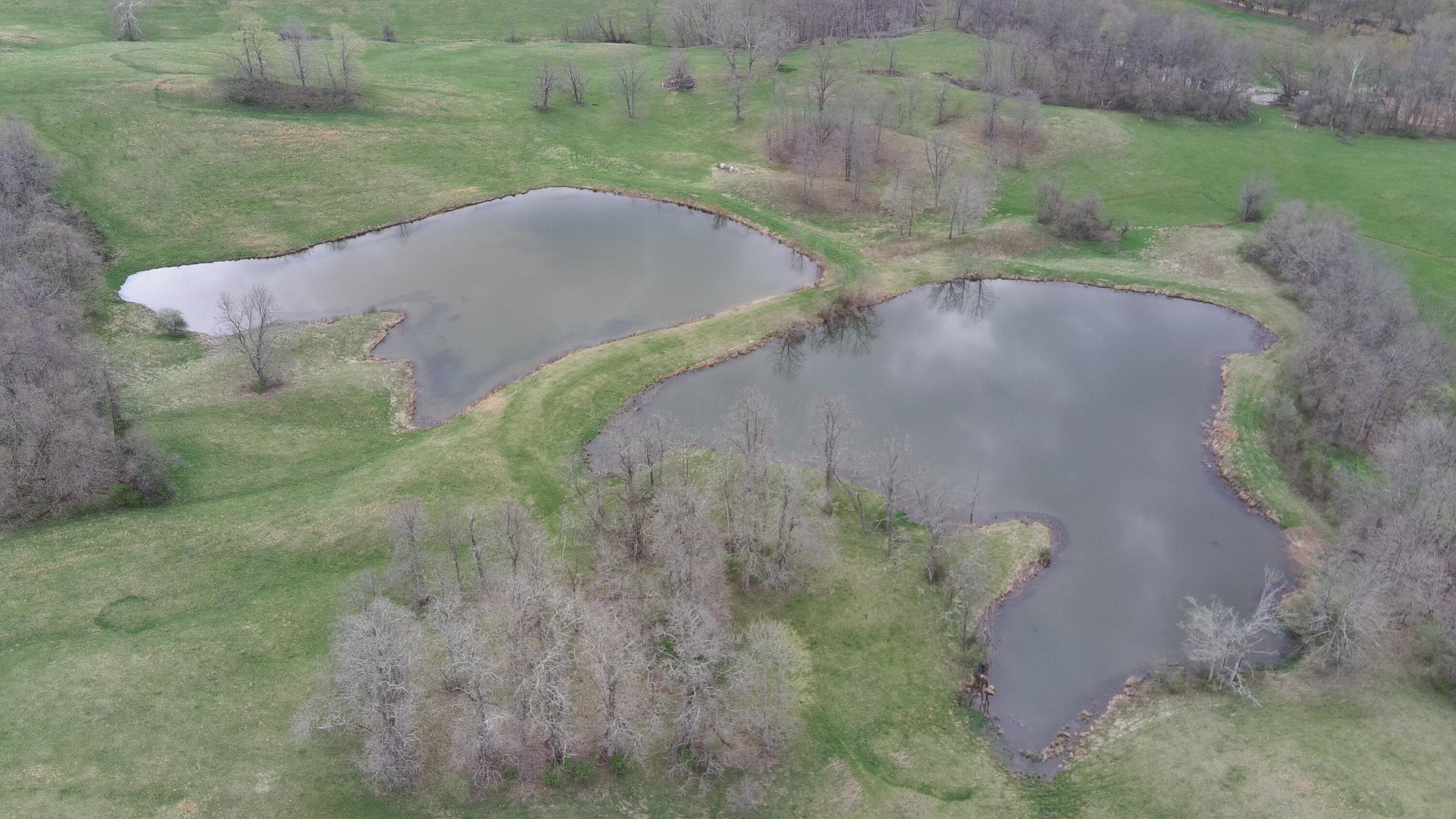 213 Nelson Road, Gallipolis, Ohio image 23