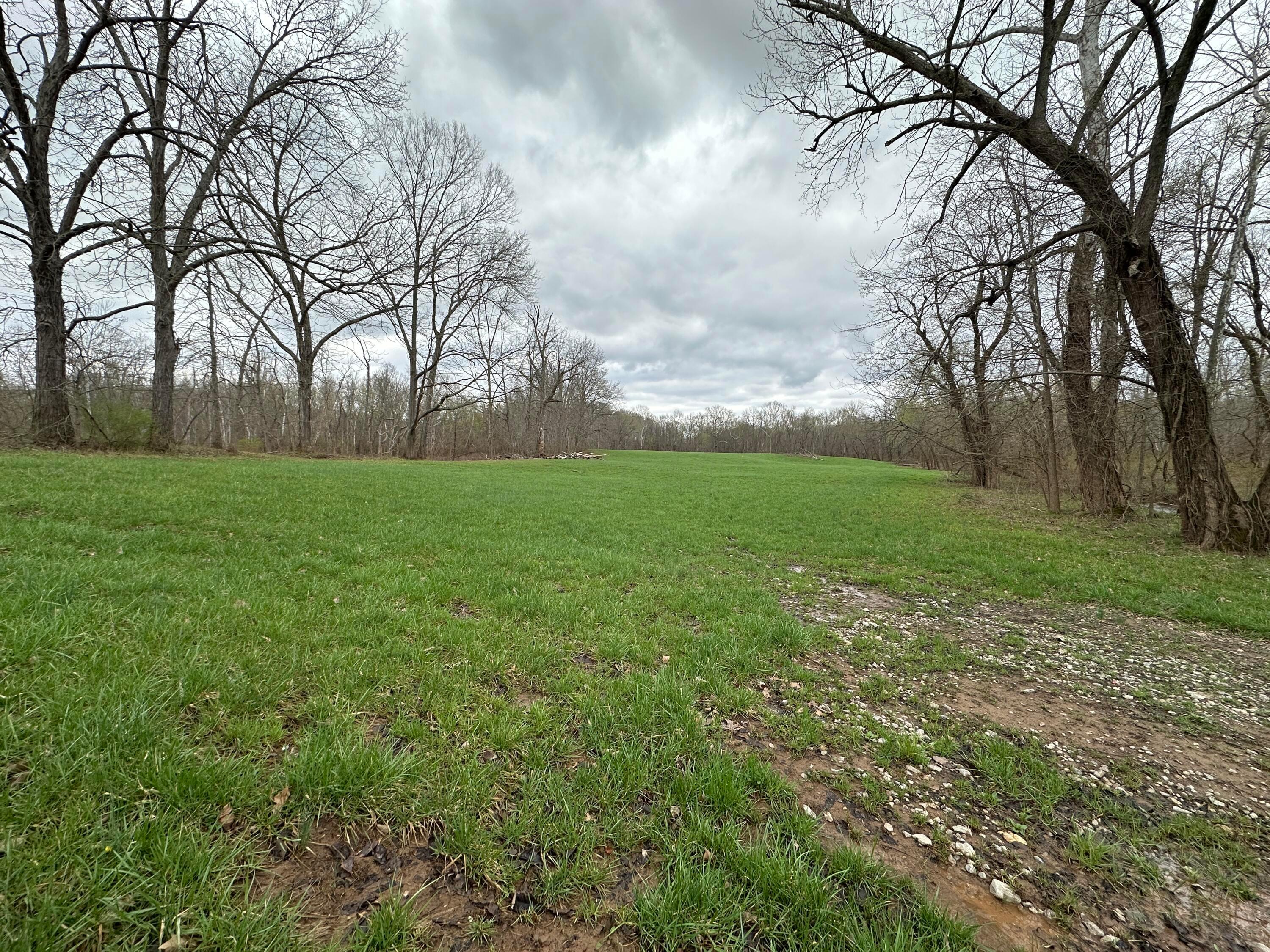 213 Nelson Road, Gallipolis, Ohio image 34