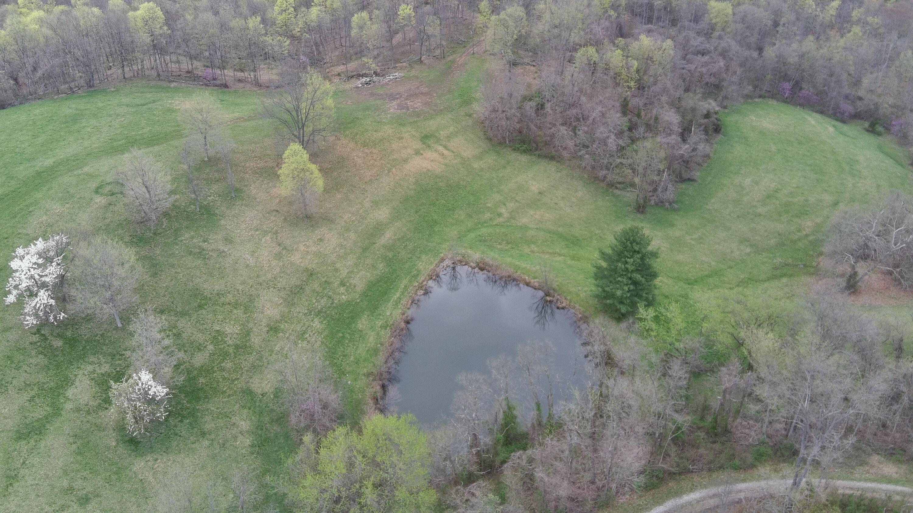 213 Nelson Road, Gallipolis, Ohio image 43