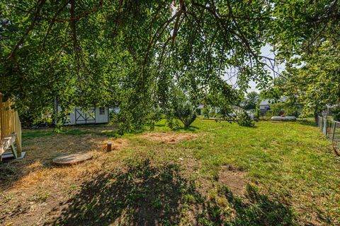 Tiny photo for 5981 Main Street, Grove City, OH 43123 (MLS # 226003133)