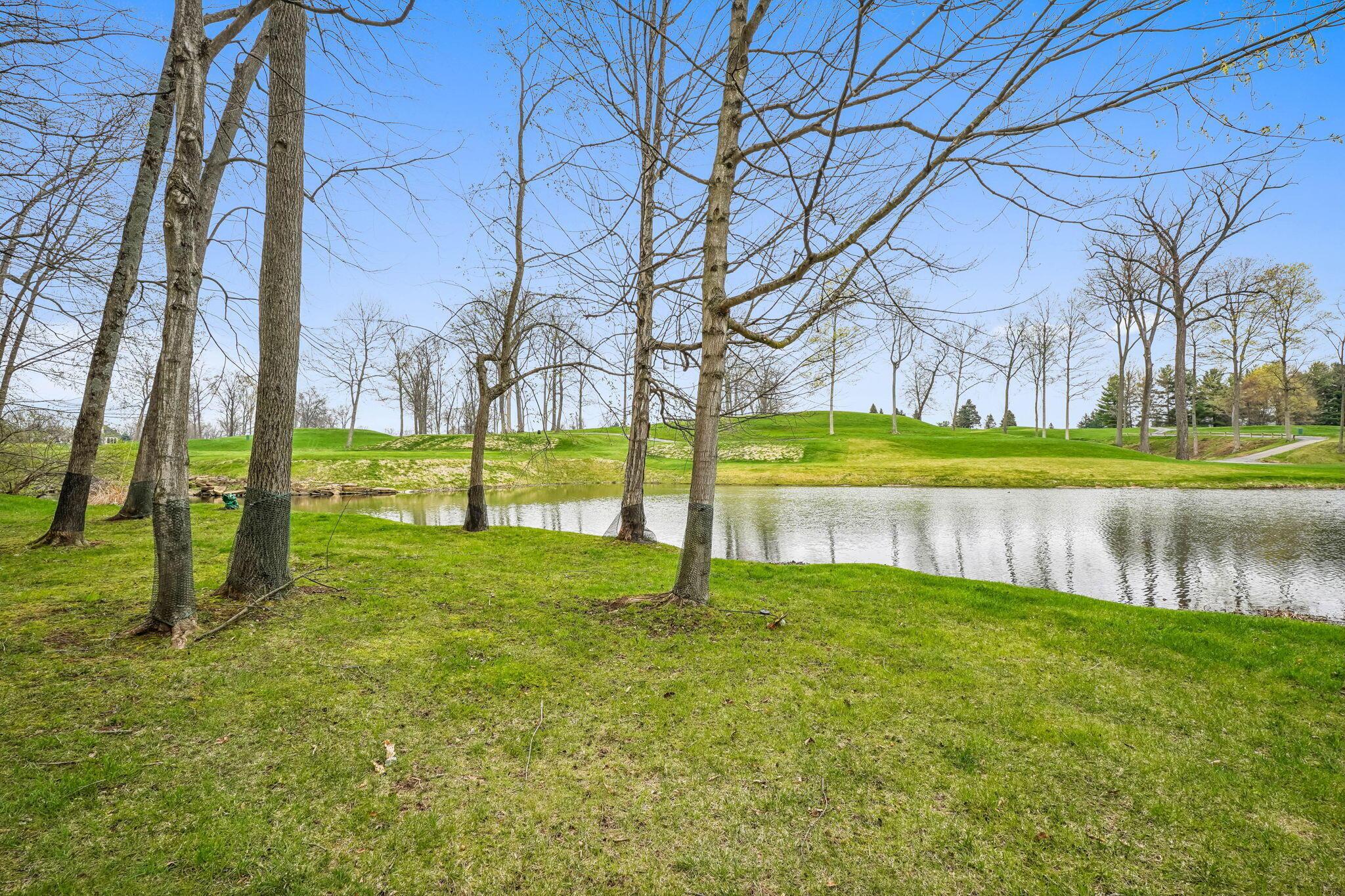 10041 Wellington Boulevard, Powell, Ohio image 29