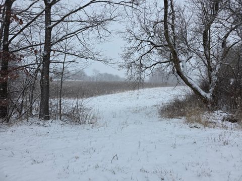 Photo of 0 Riggle Road, Bellville, OH 44813 (MLS # 226001990)