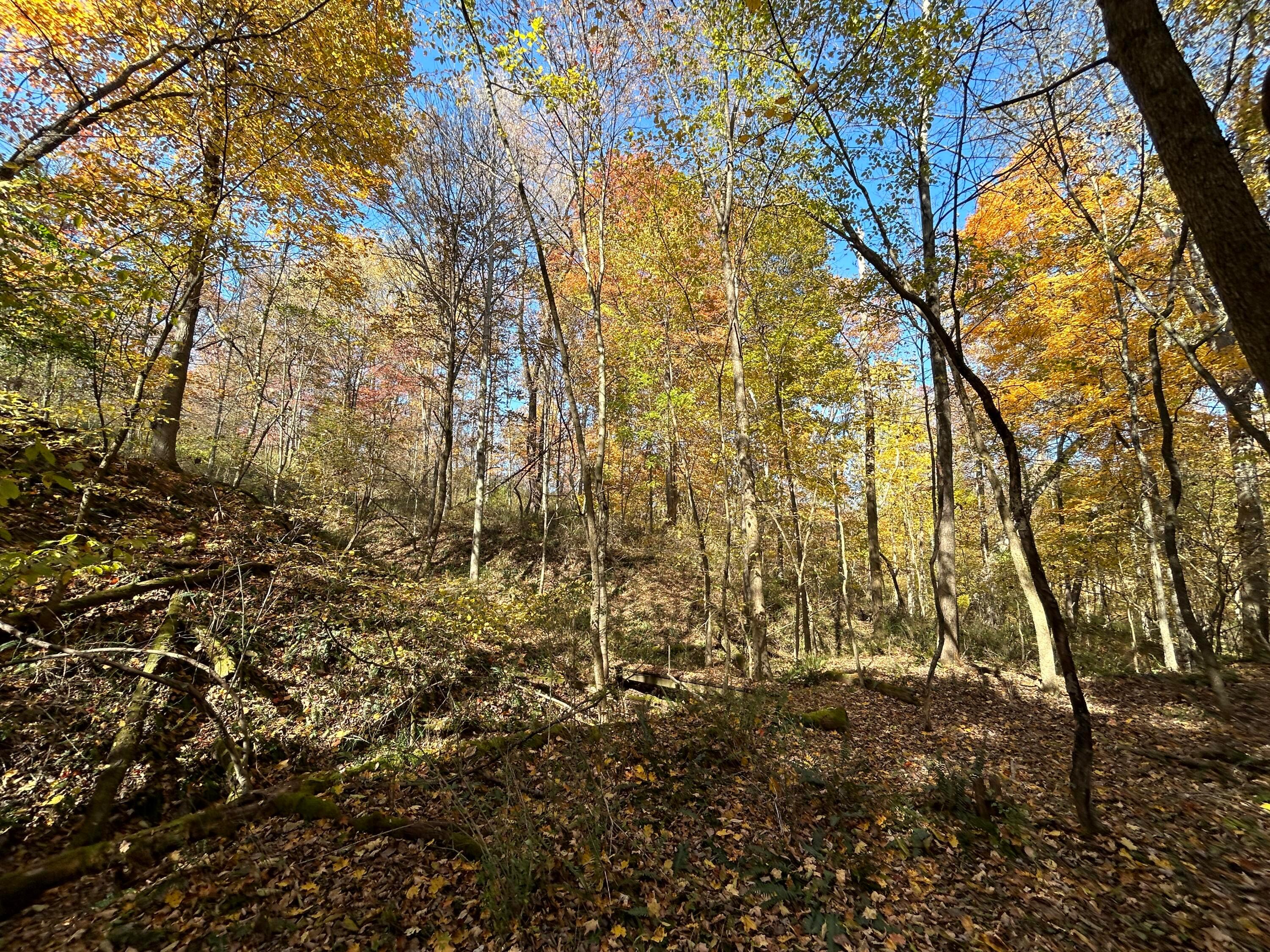 3530 Jeffries Road, Heath, Ohio image 31